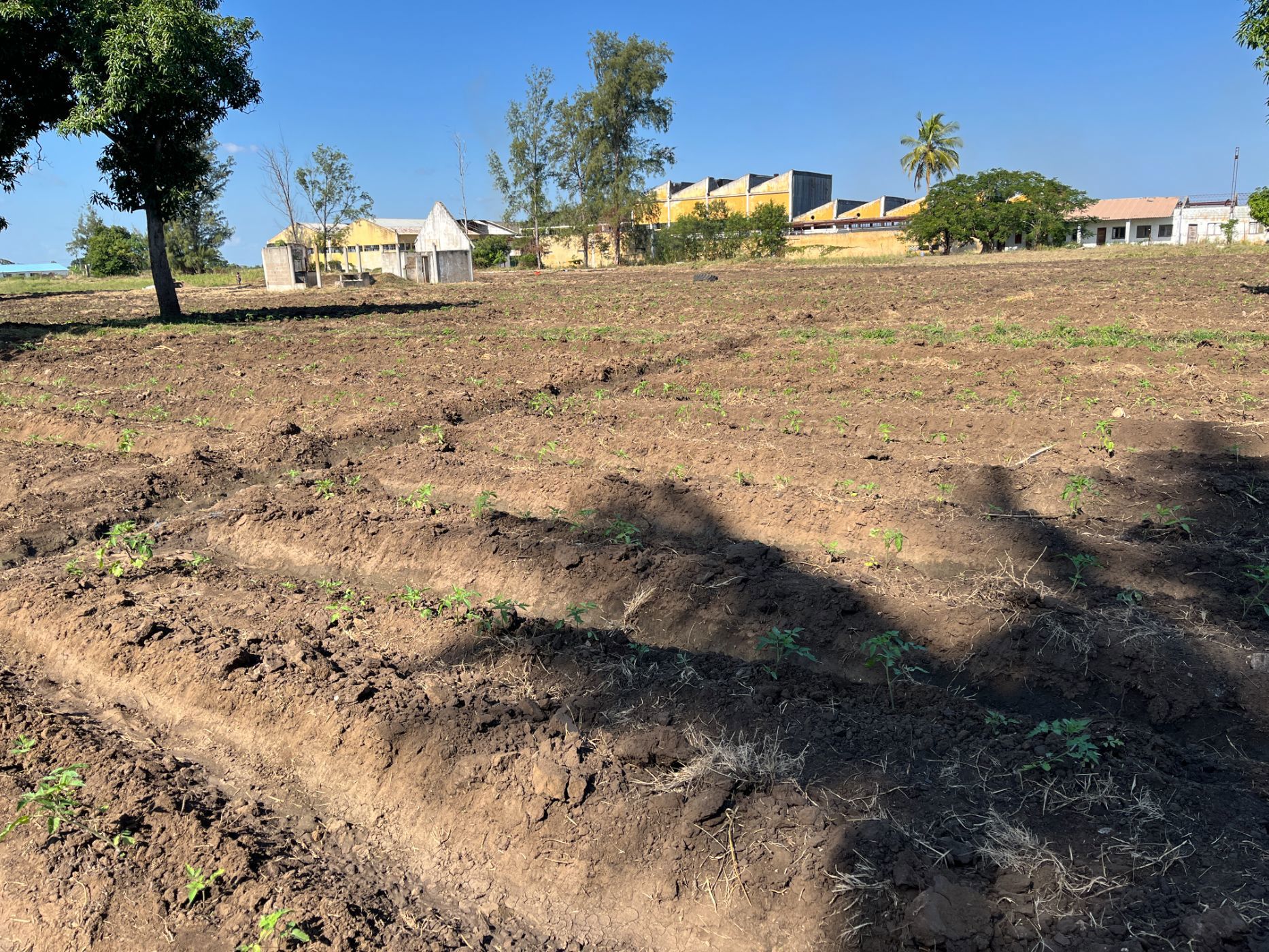 700 hectare mixed use farm for sale in Bilene (Mozambique)