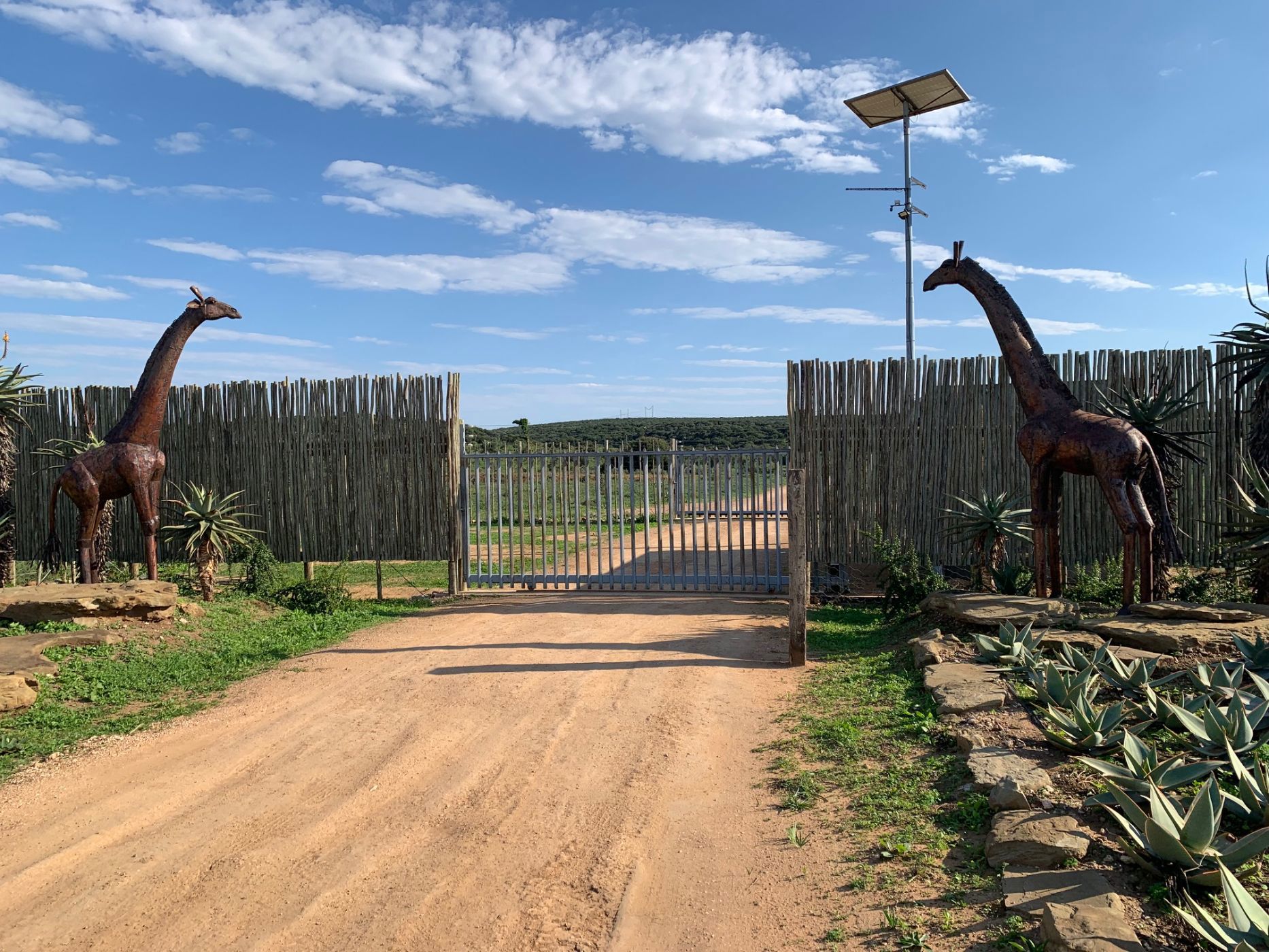 175.81 hectare game farm for sale in Addo