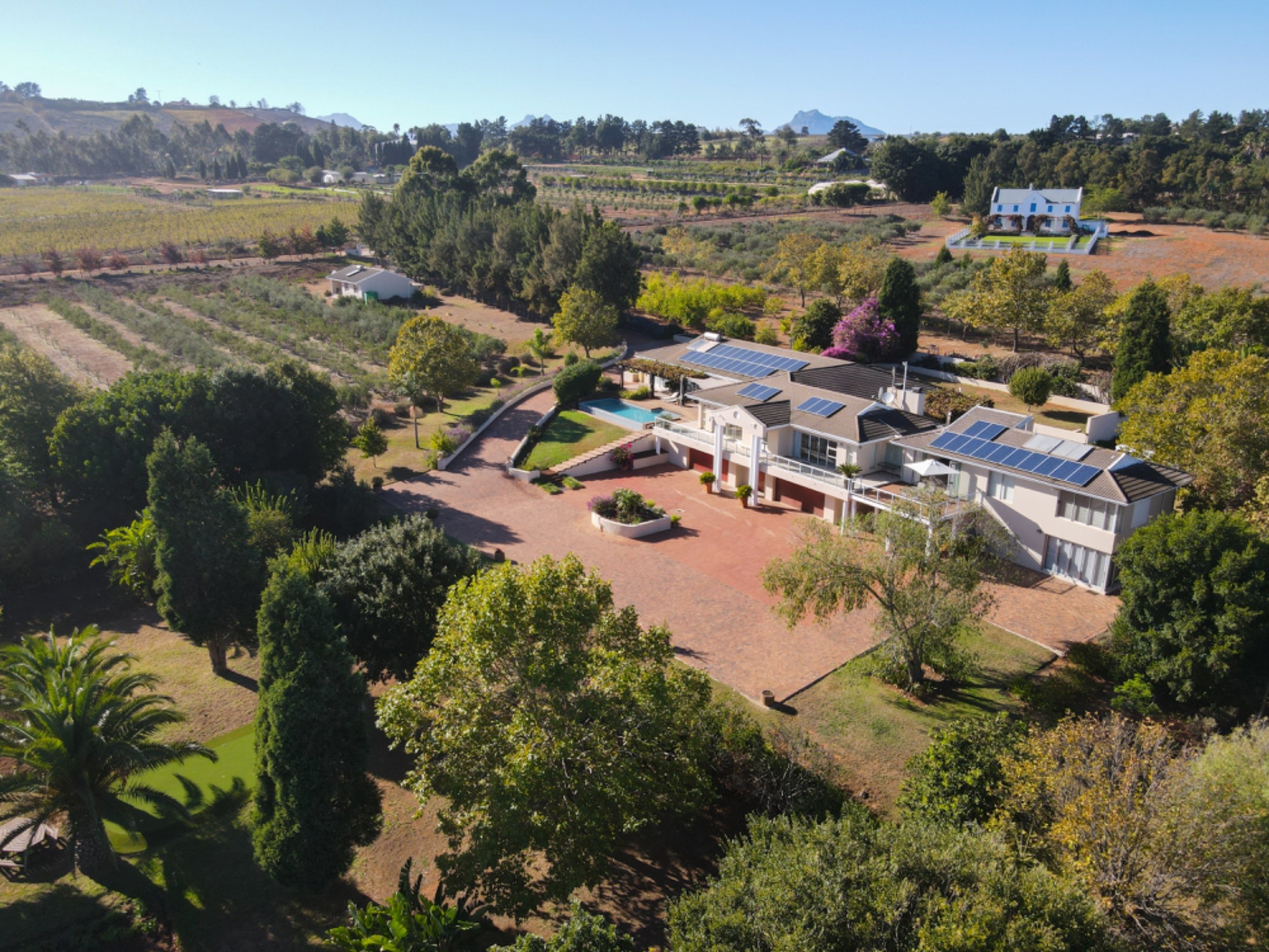 3.8 hectare olive farm for sale in Stellenbosch Farms