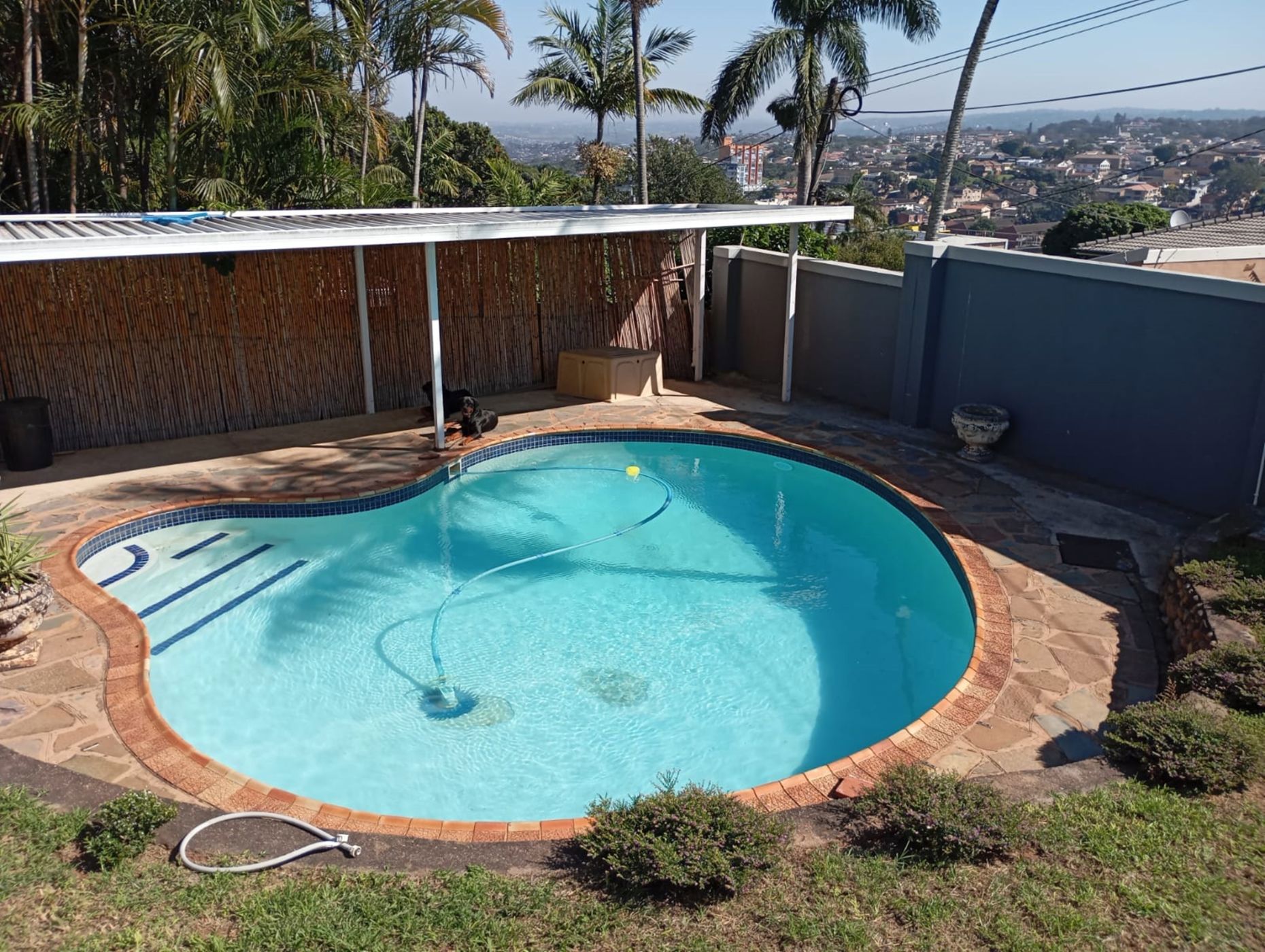 4 Bedroom House For Sale Musgrave 1DA1656975 Pam Golding Properties