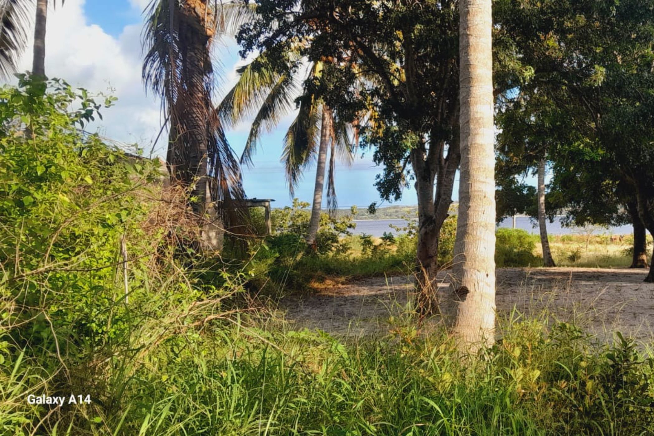 2400 m&sup2; vacant land for investment in Bilene (Mozambique)