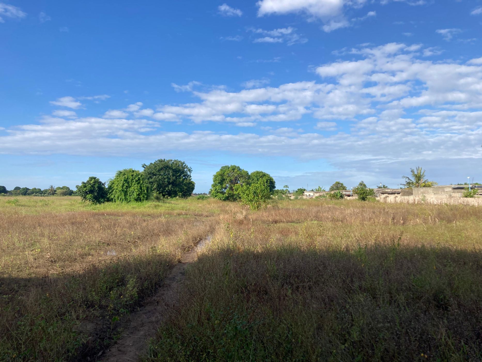 244671 m&sup2; vacant land for investment in Matola (Mozambique)