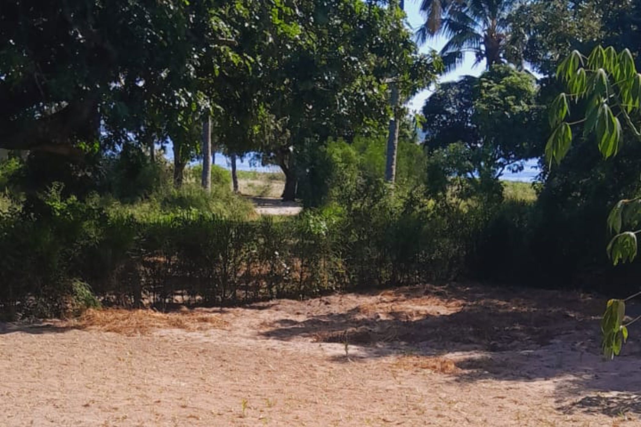 2500 m&sup2; vacant land for investment in Bilene (Mozambique)