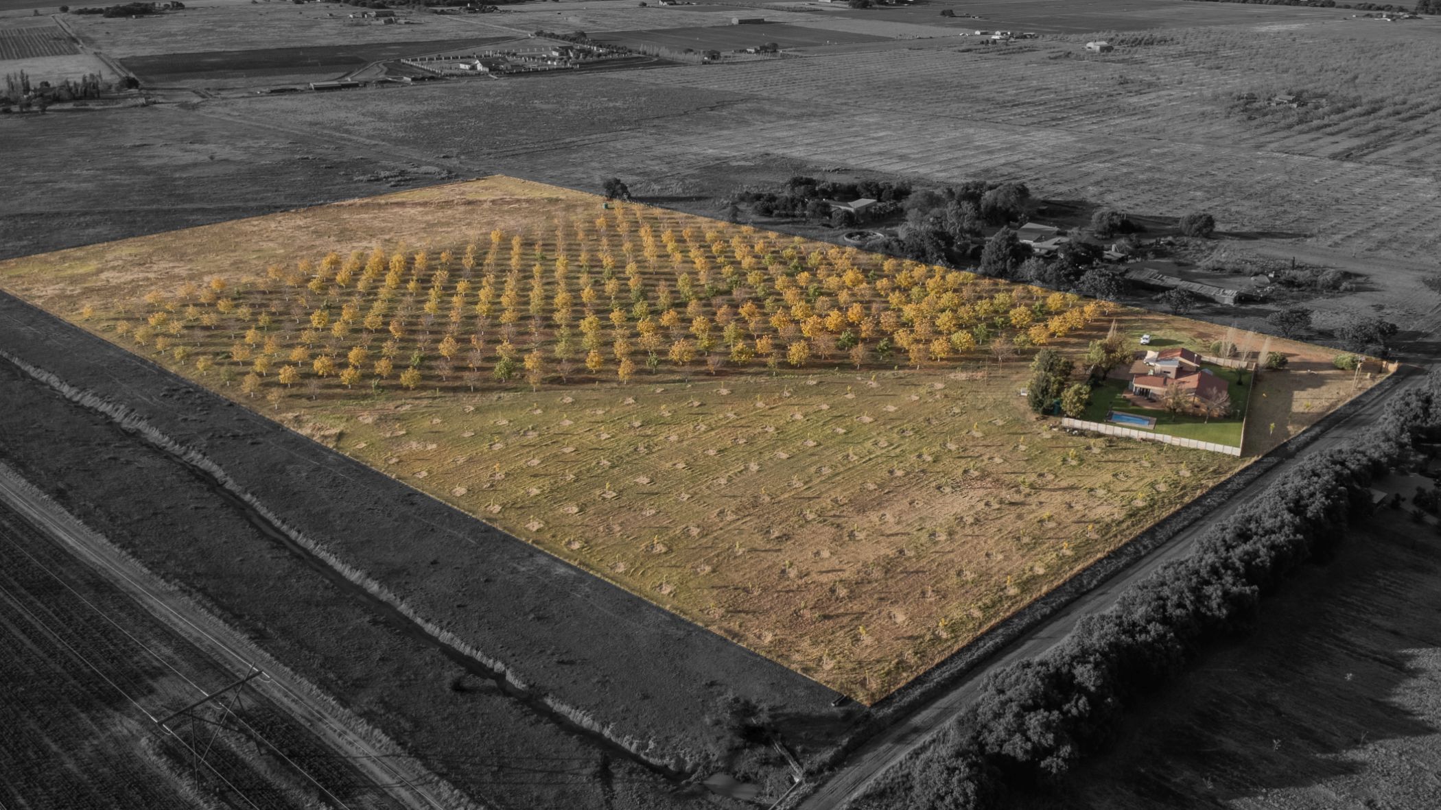 7.2 hectare smallholding for sale in Bains Vlei