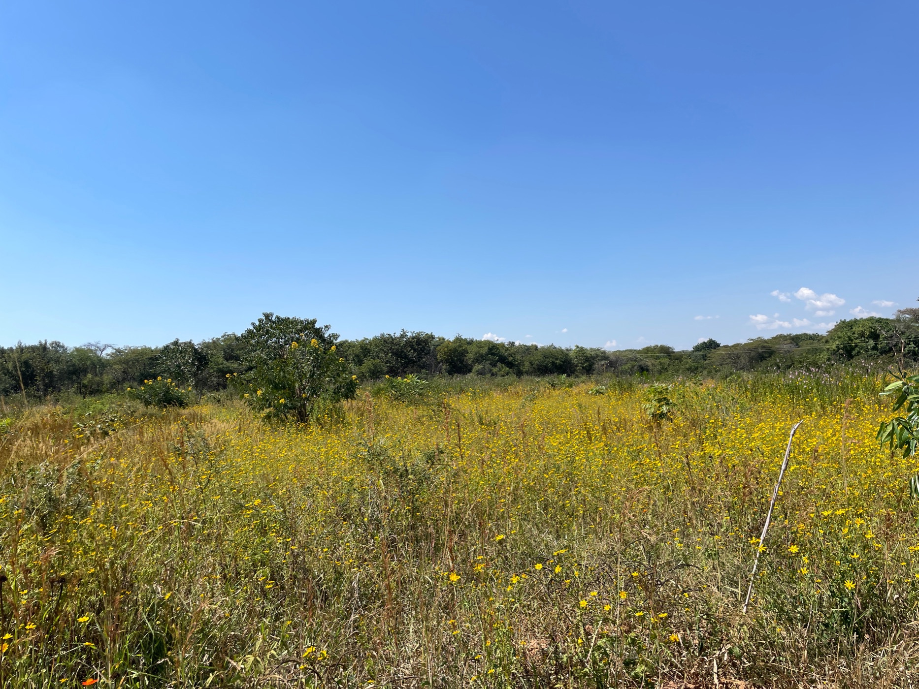 27 hectare mixed use farm for sale in Lusaka West (Zambia)