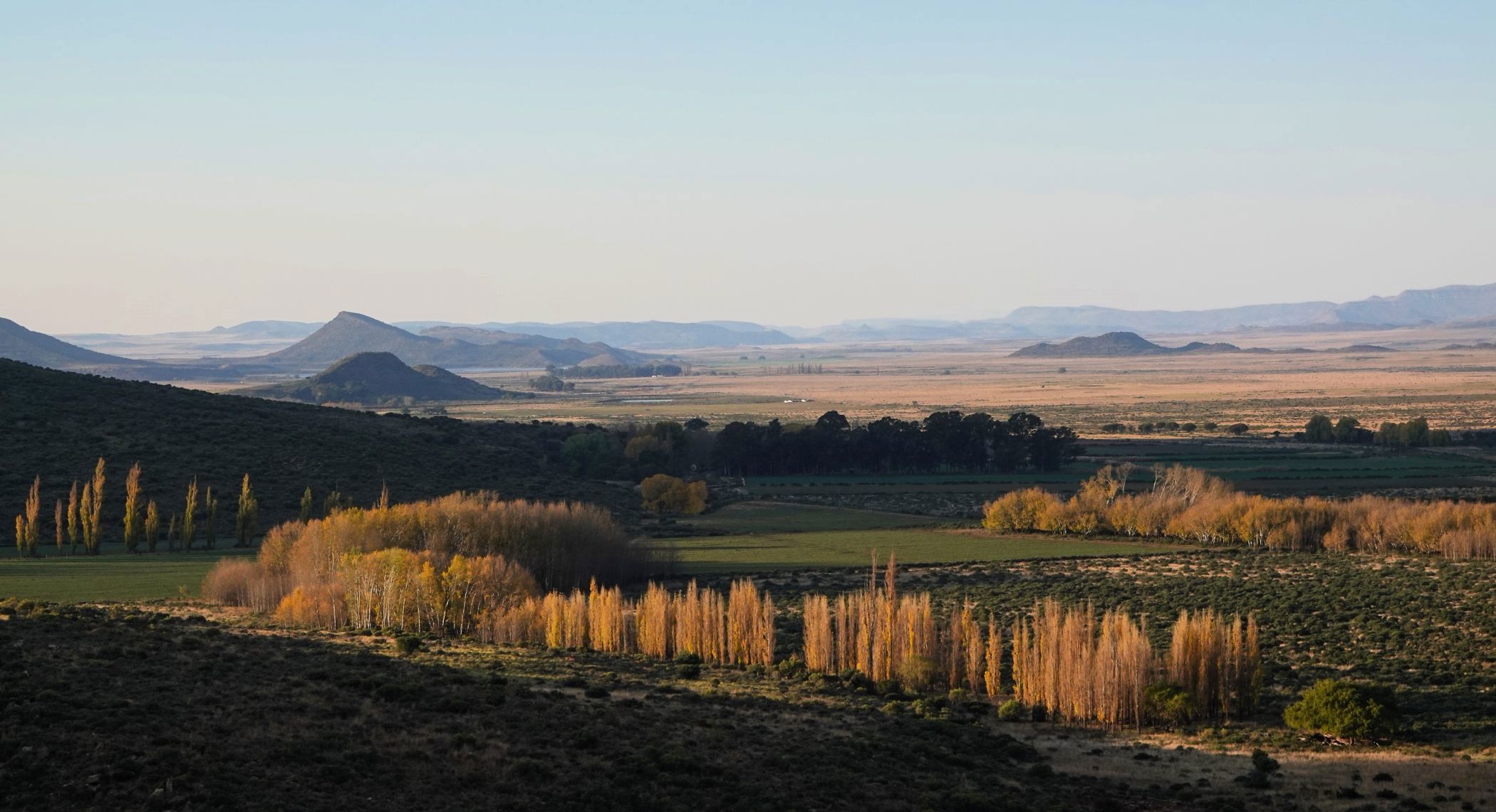4142 hectare mixed use farm for sale in Molteno
