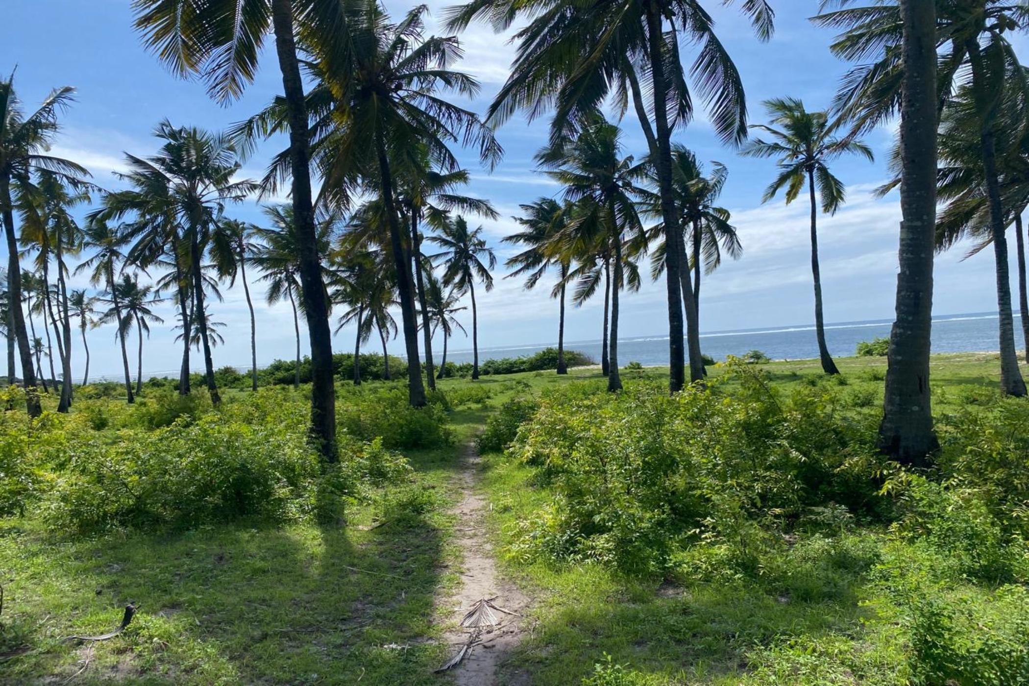 5 acres vacant land for sale in Kikambala (Kenya)