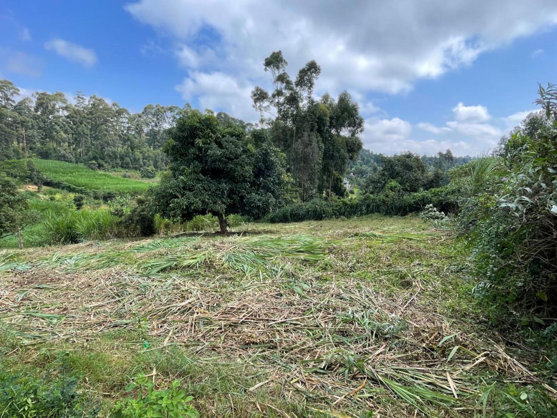 0.1 hectare Residential Vacant Land For Sale Redhill (Kenya