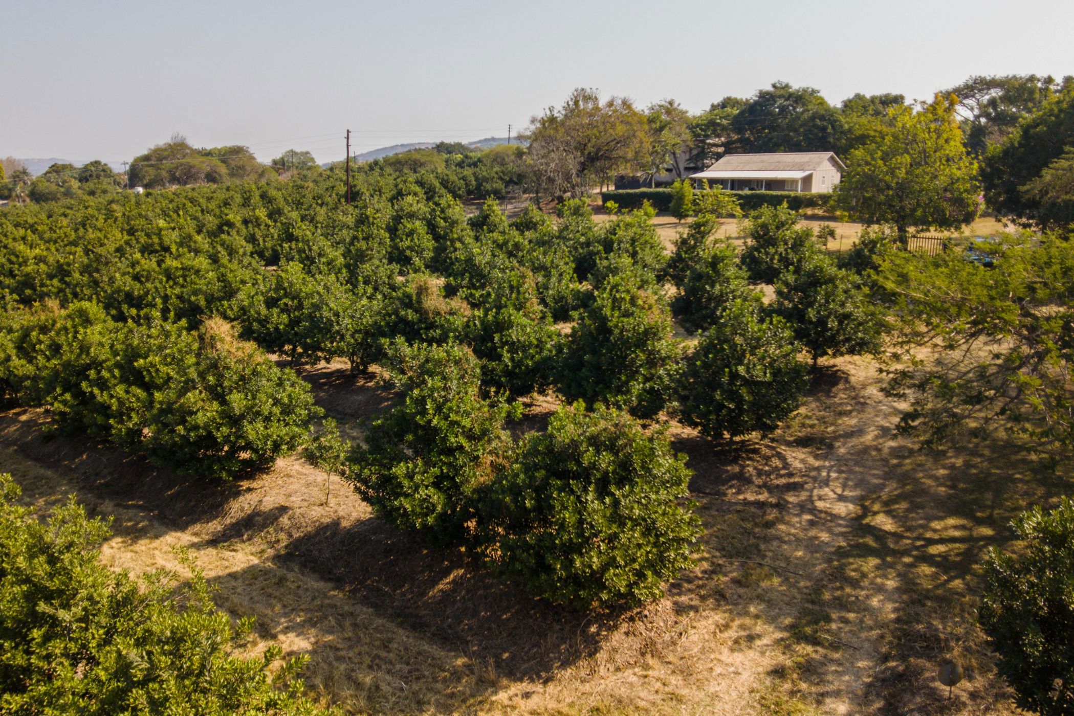6.2 hectare smallholding for sale in Mbombela Rural (Nelspruit Rural)