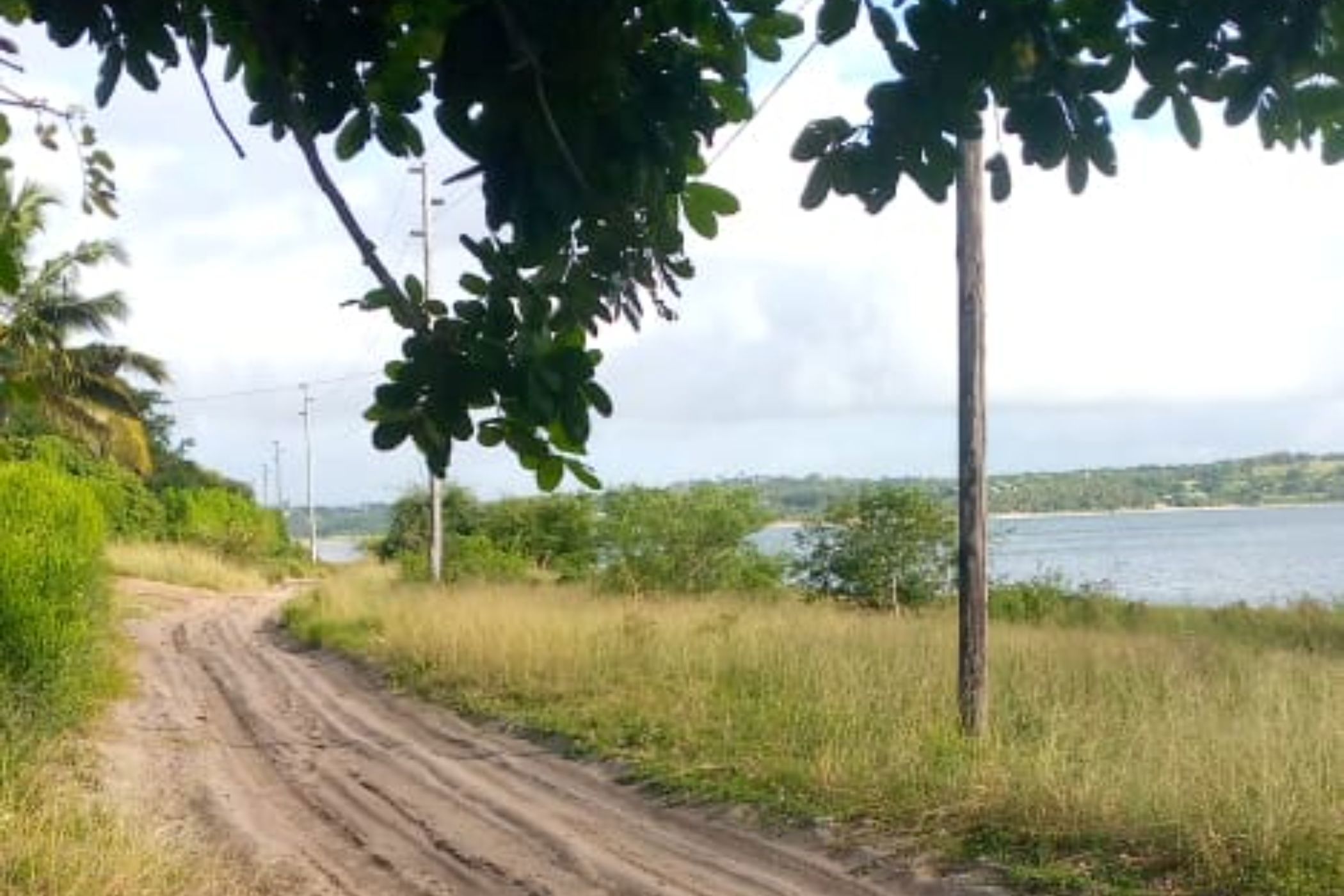 2500 m&sup2; vacant land for investment in Bilene (Mozambique)