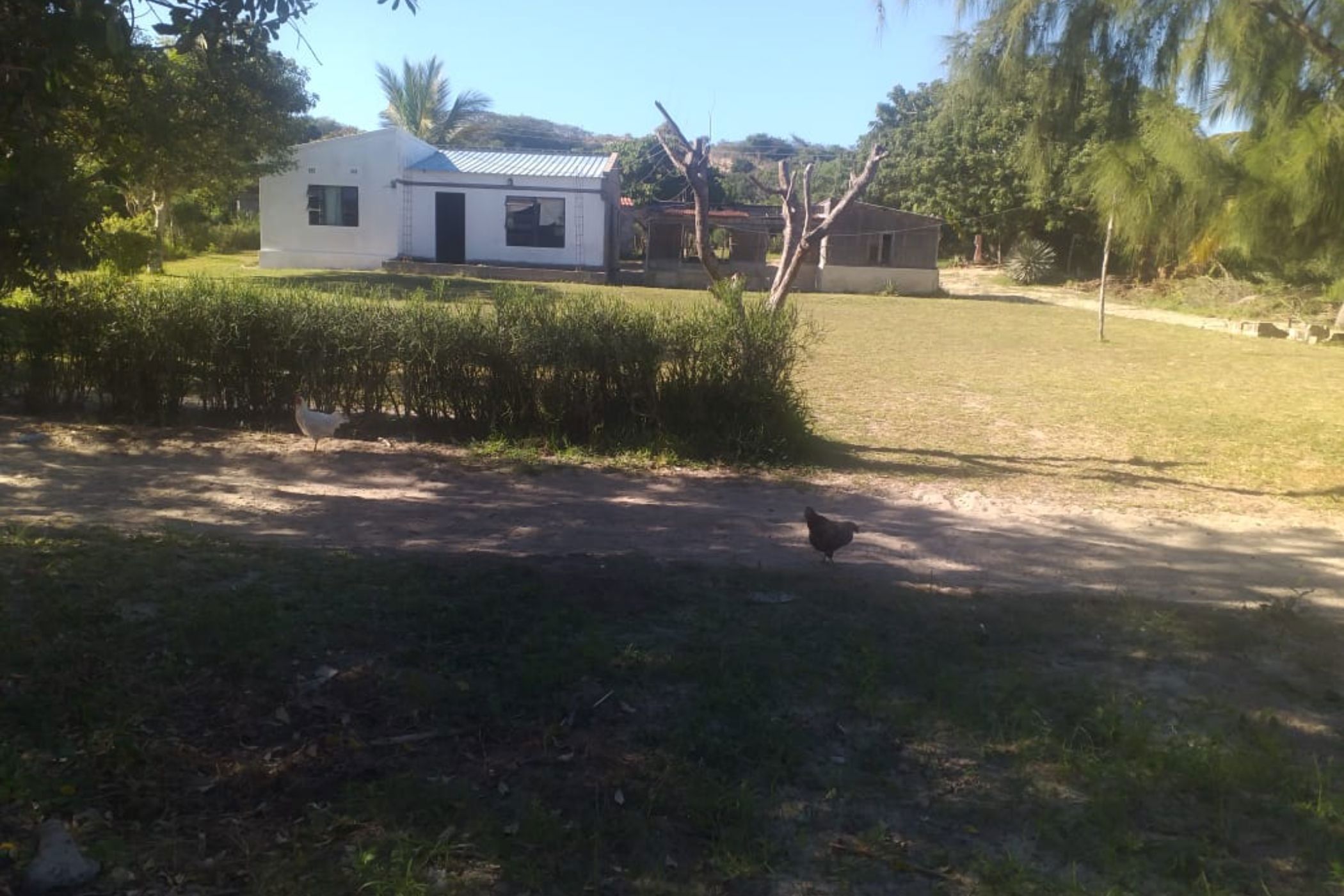 6300 m&sup2; vacant land for investment in Bilene (Mozambique)