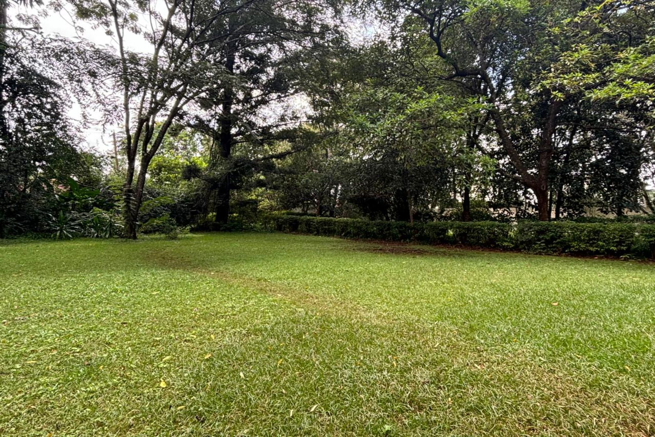 21780 m&sup2; commercial vacant land to rent in Spring Valley (Kenya)