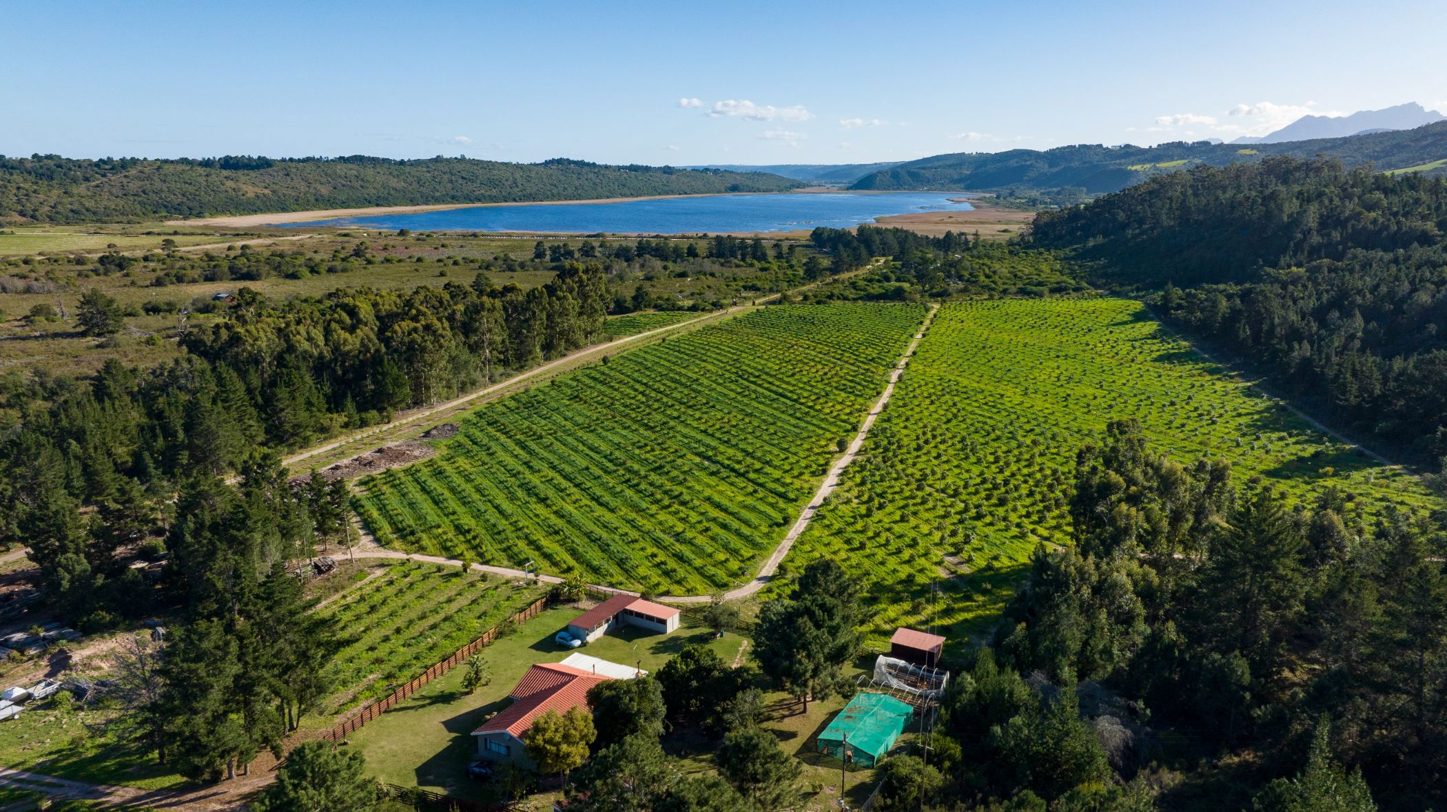 231521 m&sup2; fruit farm for sale in Wilderness Lakes 