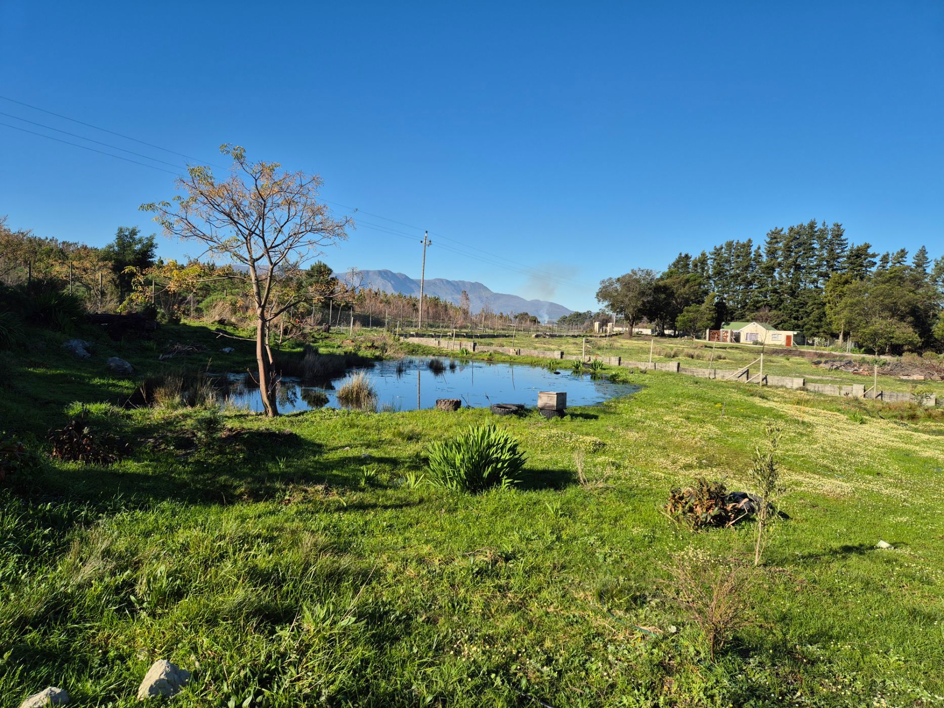 4.5 hectare smallholding for sale in Grabouw