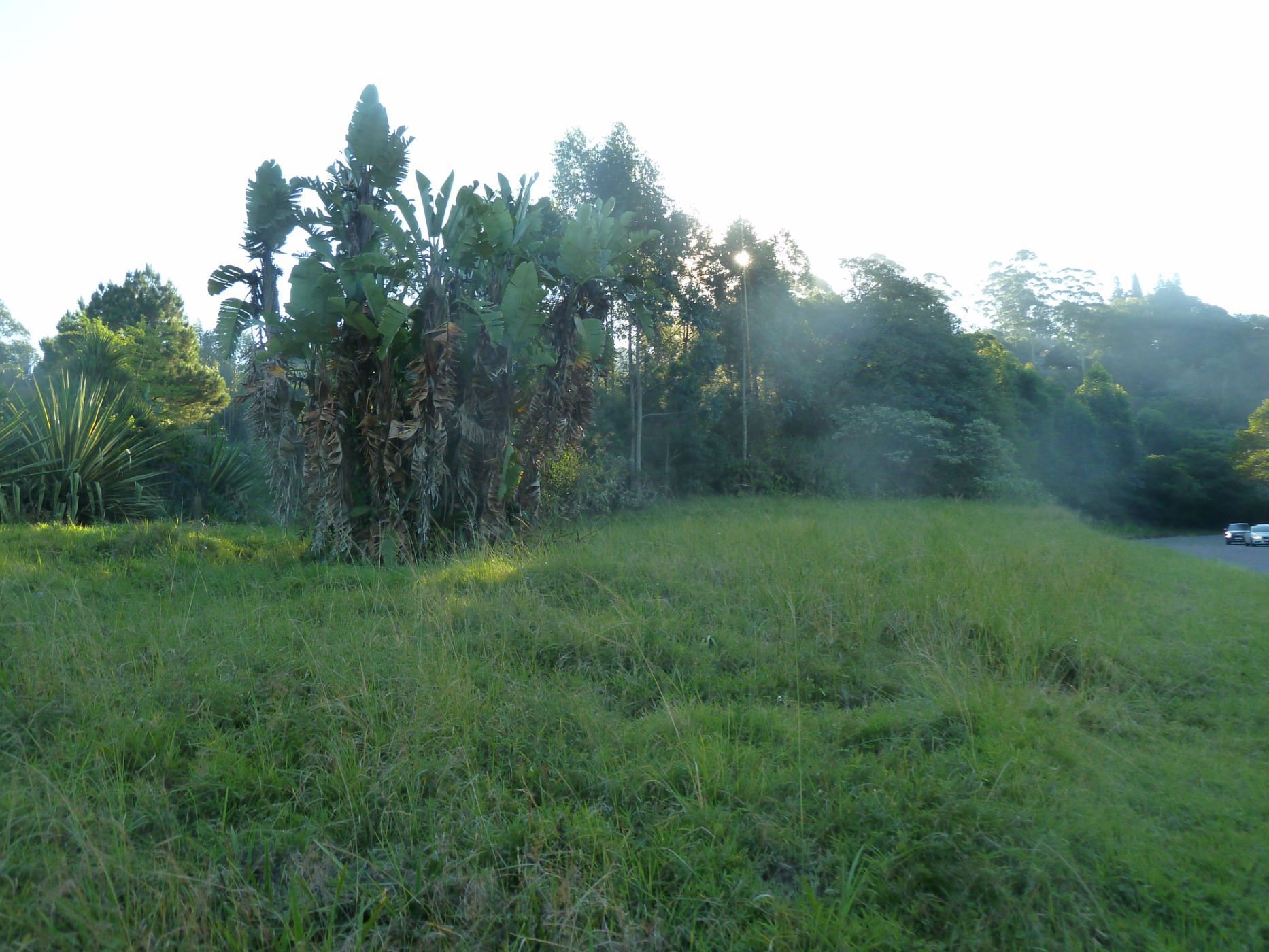 15751 m&sup2; residential vacant land for sale in Bothas Hill