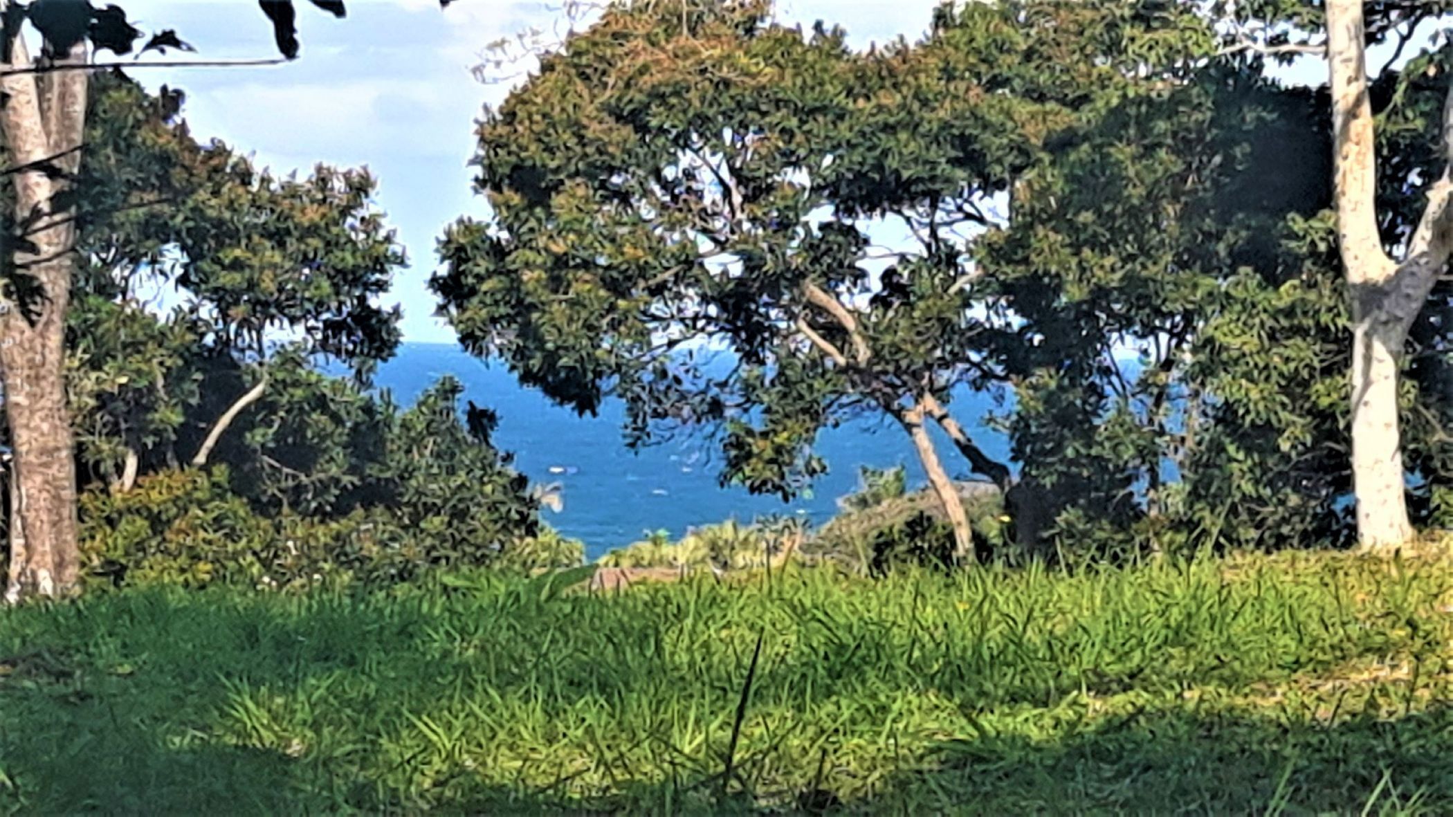 1743 m&sup2; residential vacant land for sale in Southbroom