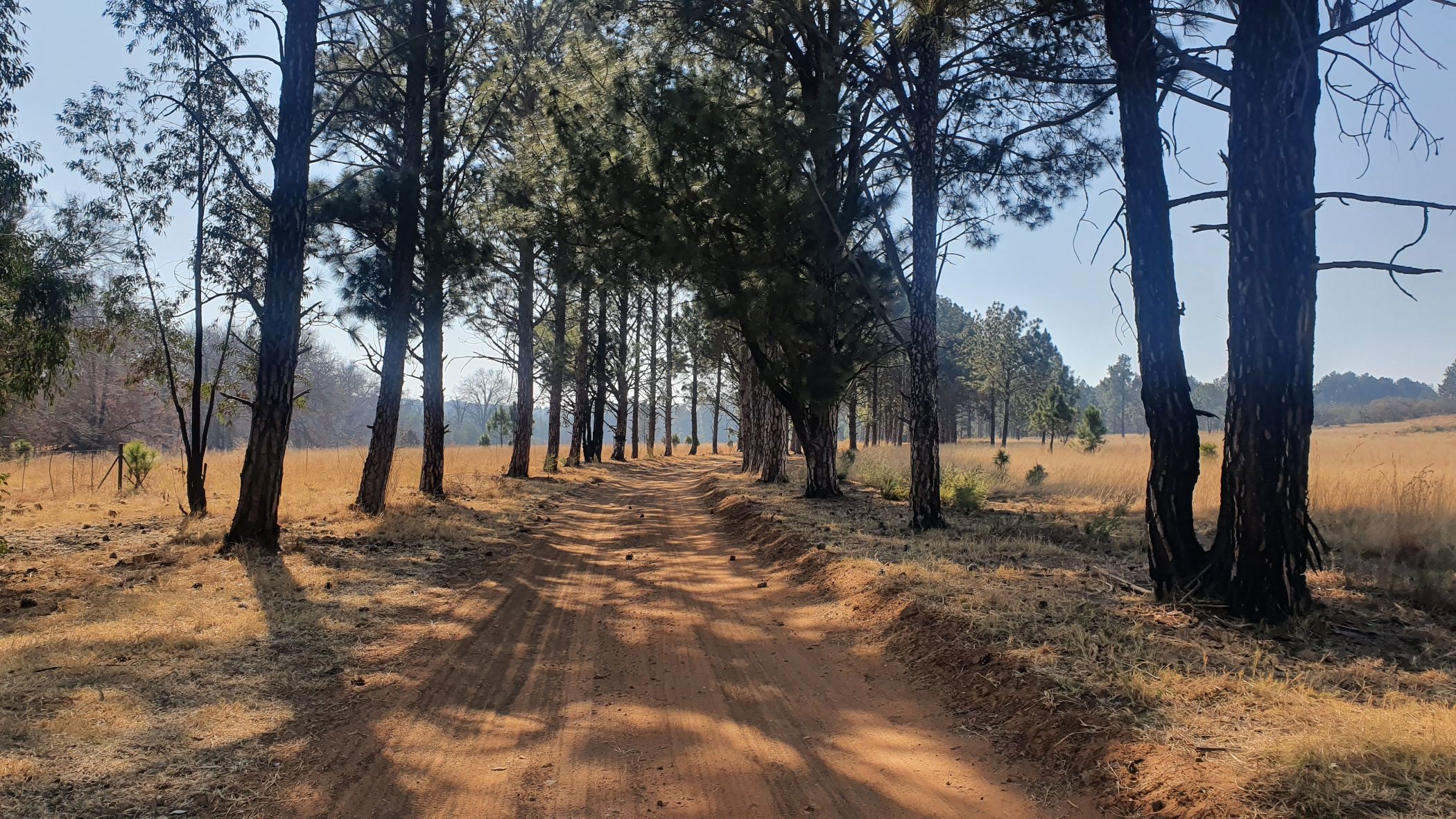 466 hectare lifestyle property for sale in Walker Fruit Farms