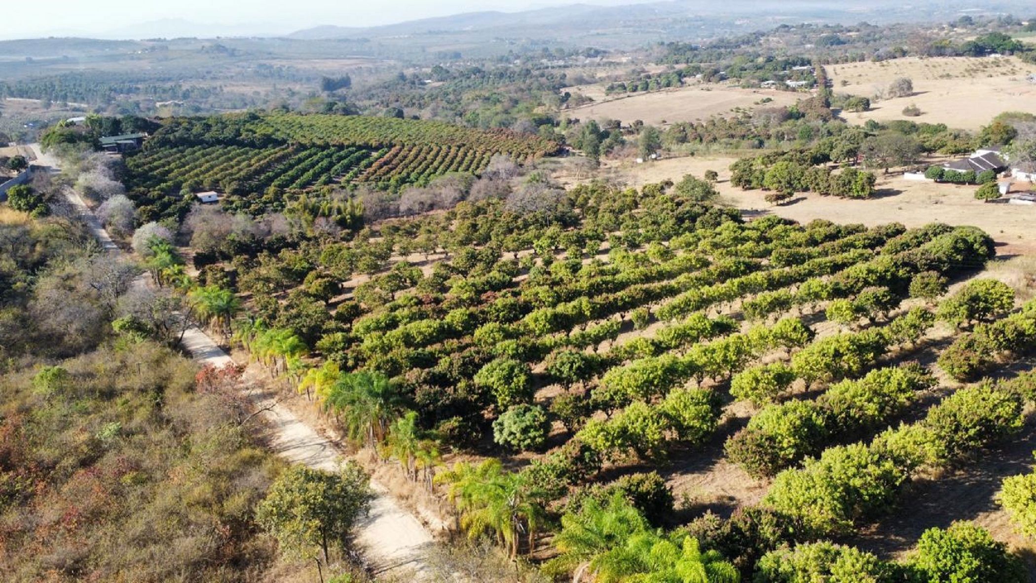 2 hectare vacant land for sale in Lushof A H
