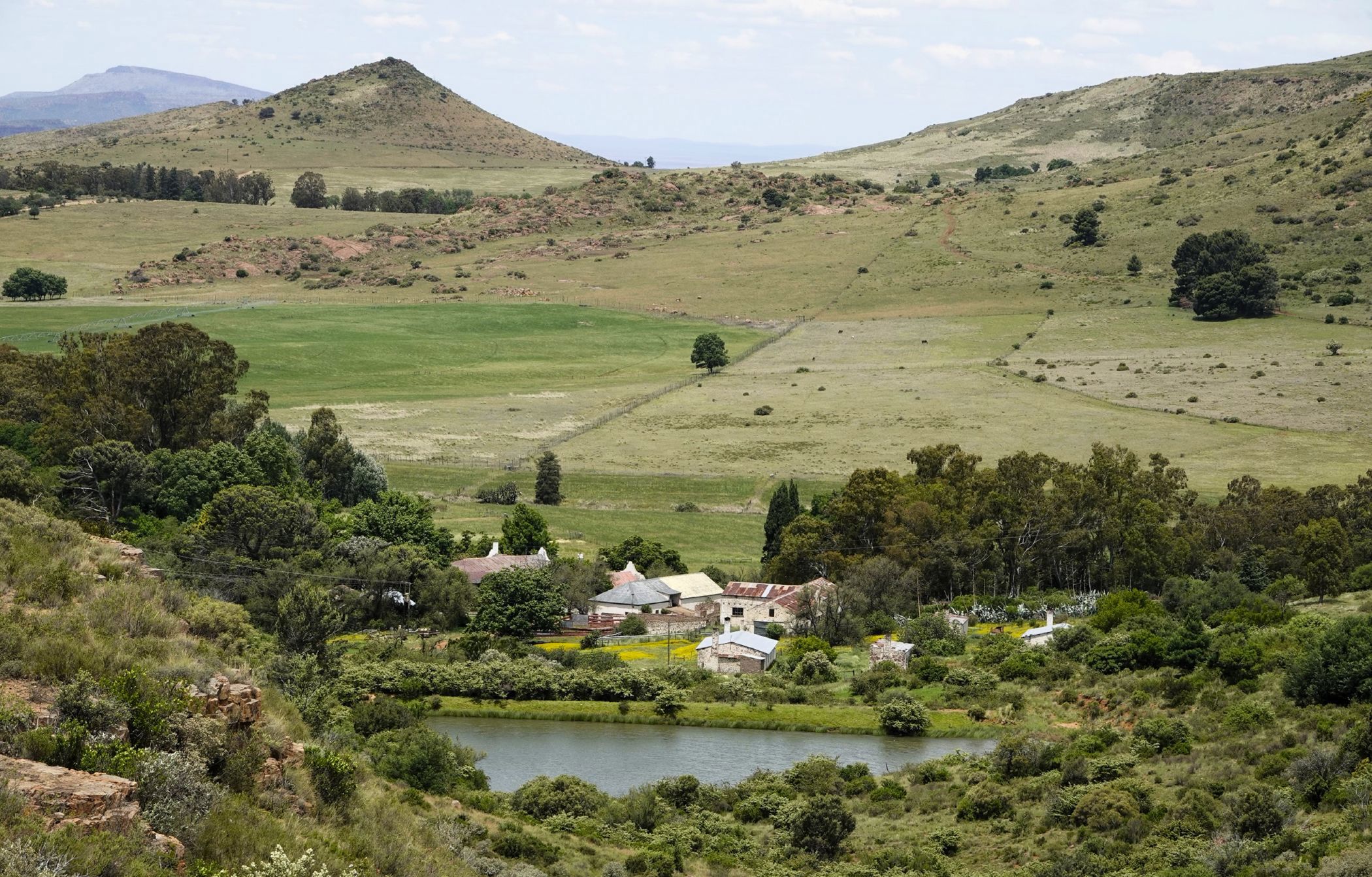 1167 hectare livestock farm for sale in Graaff-Reinet Rural