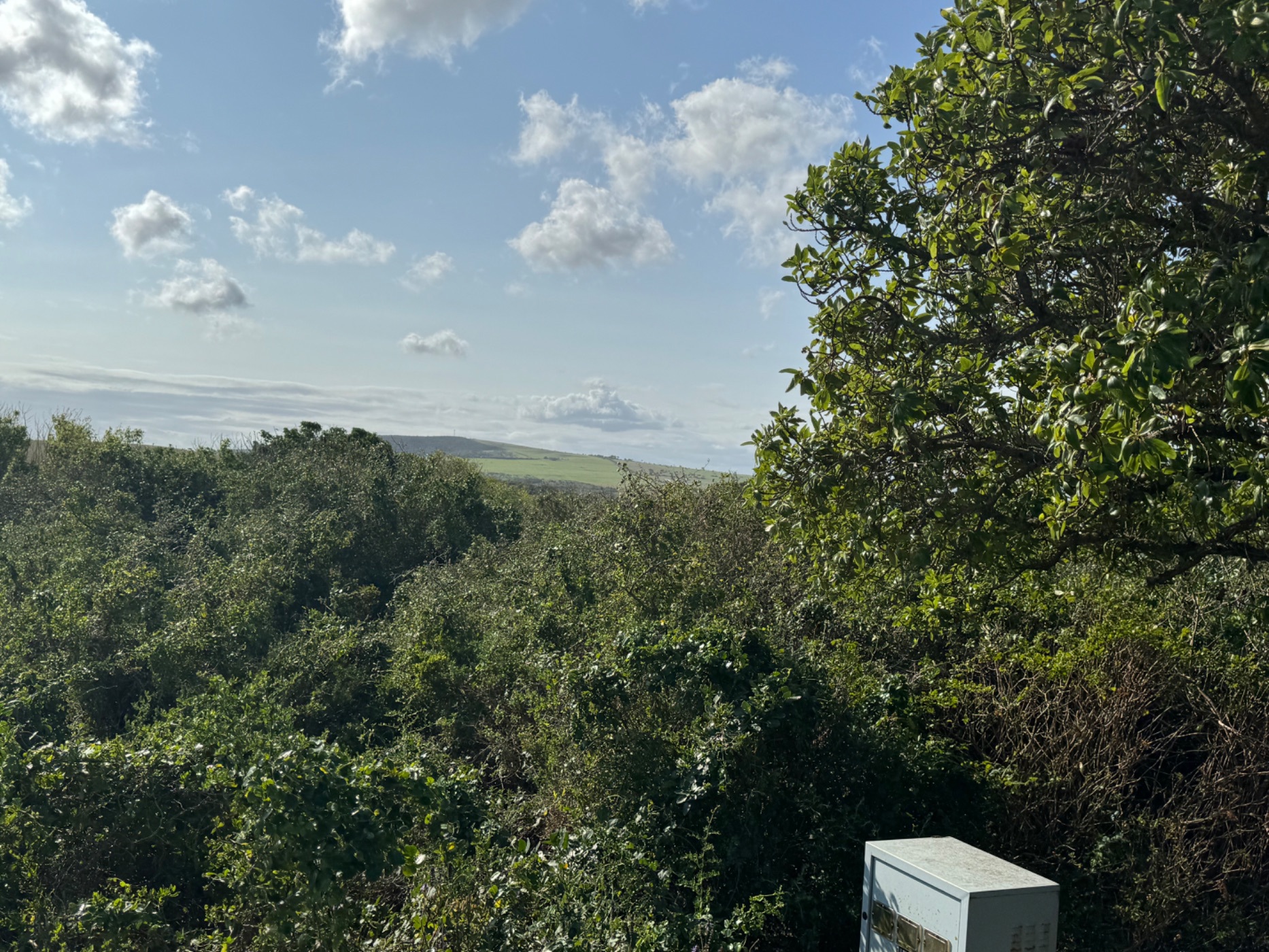 836 m&sup2; vacant land for sale in Boknesstrand