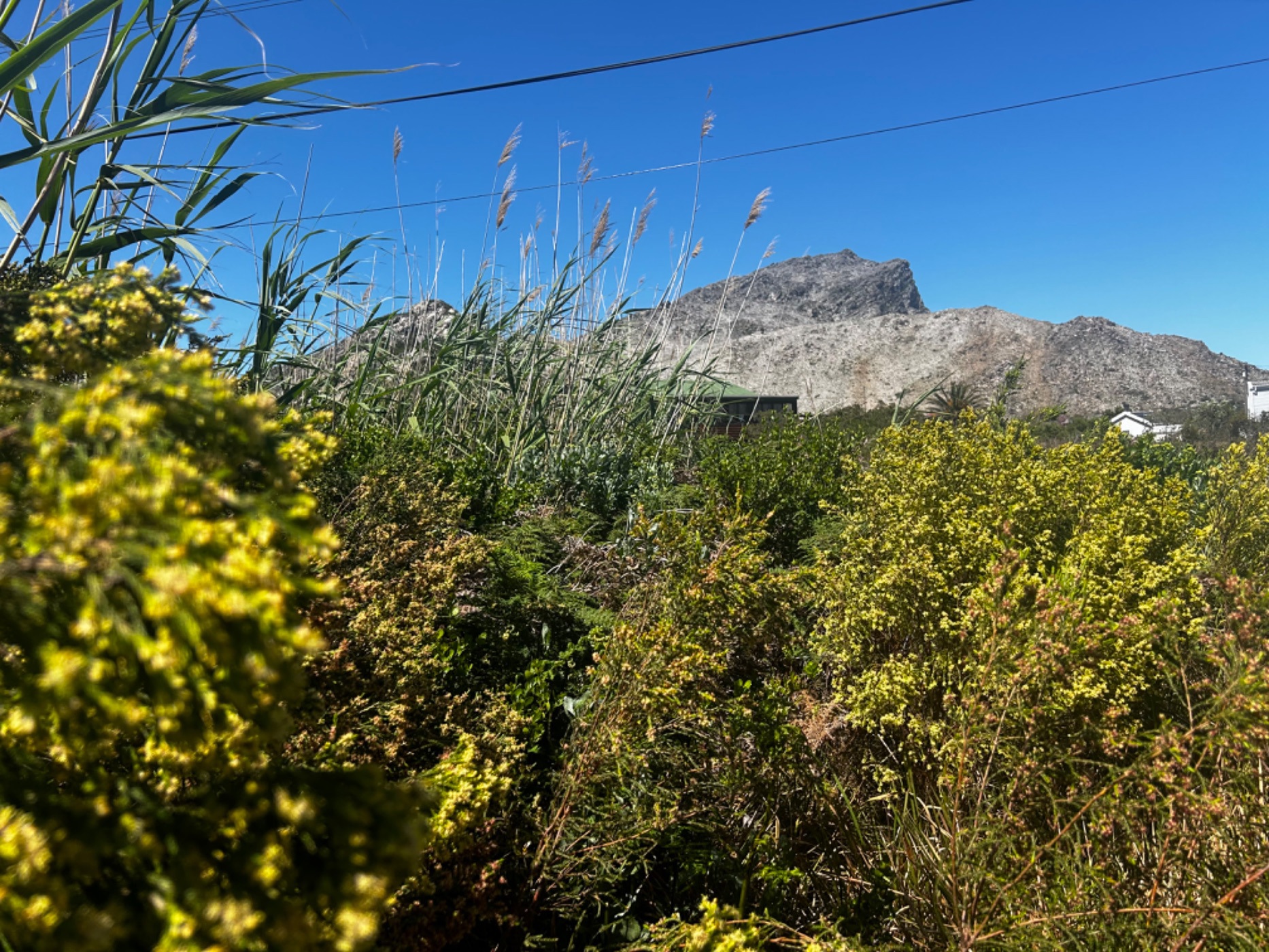 600 m&sup2; vacant land for sale in Pringle Bay