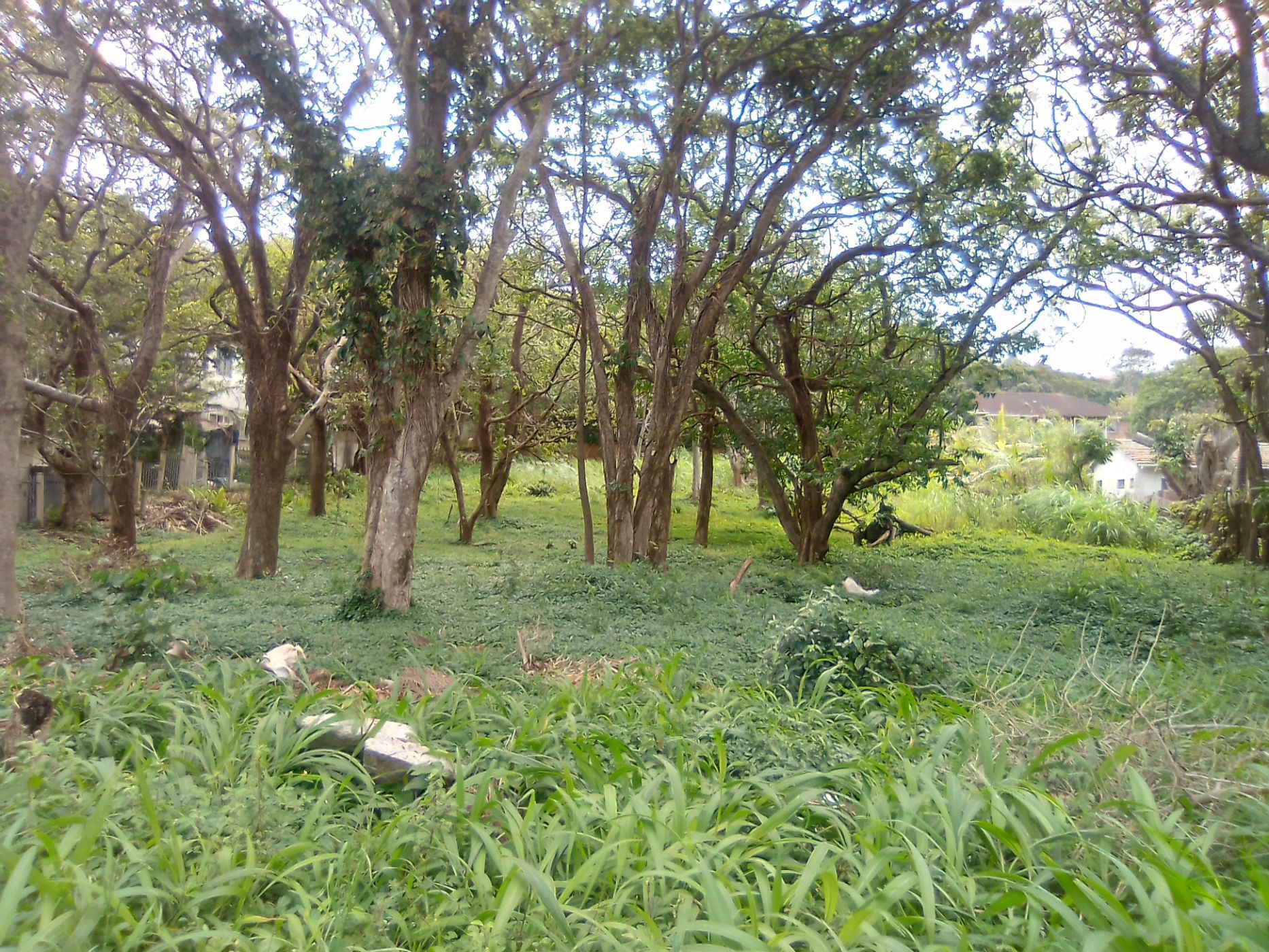 1974 m&sup2; residential vacant land for sale in Uvongo