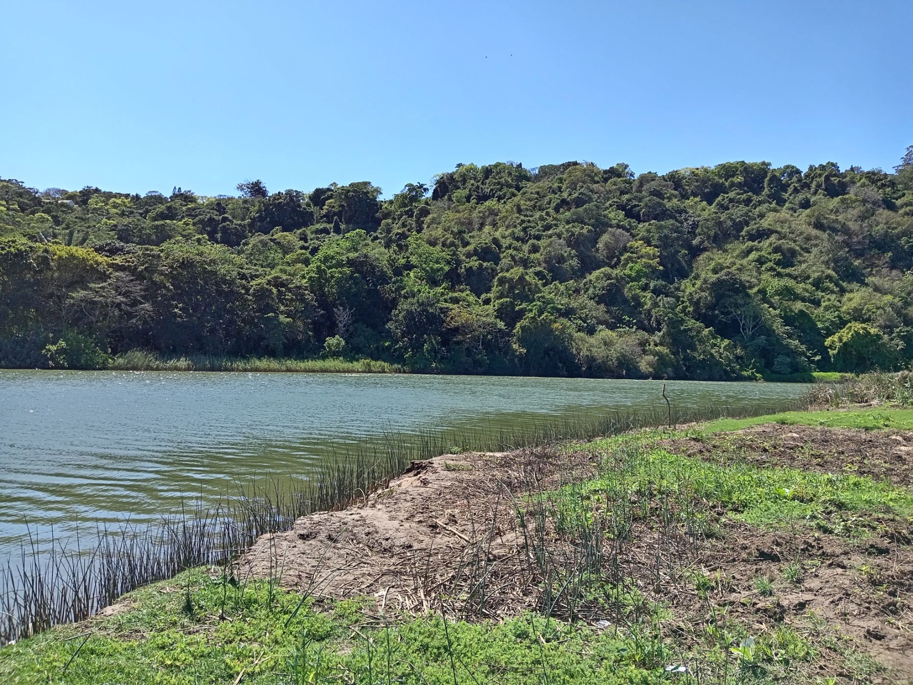 16030 m&sup2; vacant land for sale in Port Shepstone (Port Shepstone)