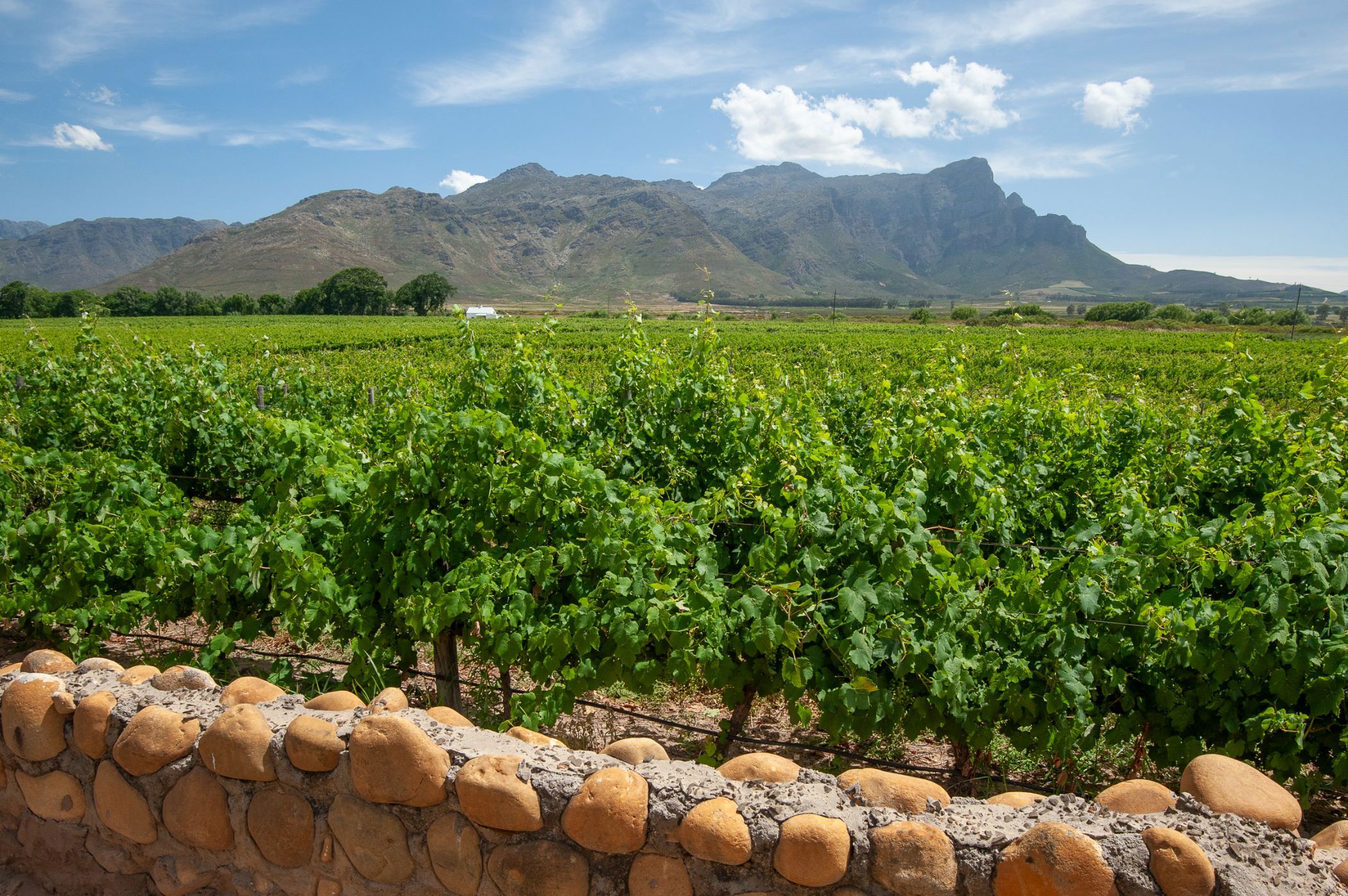 3.7 hectare lifestyle property for sale in Franschhoek Rural