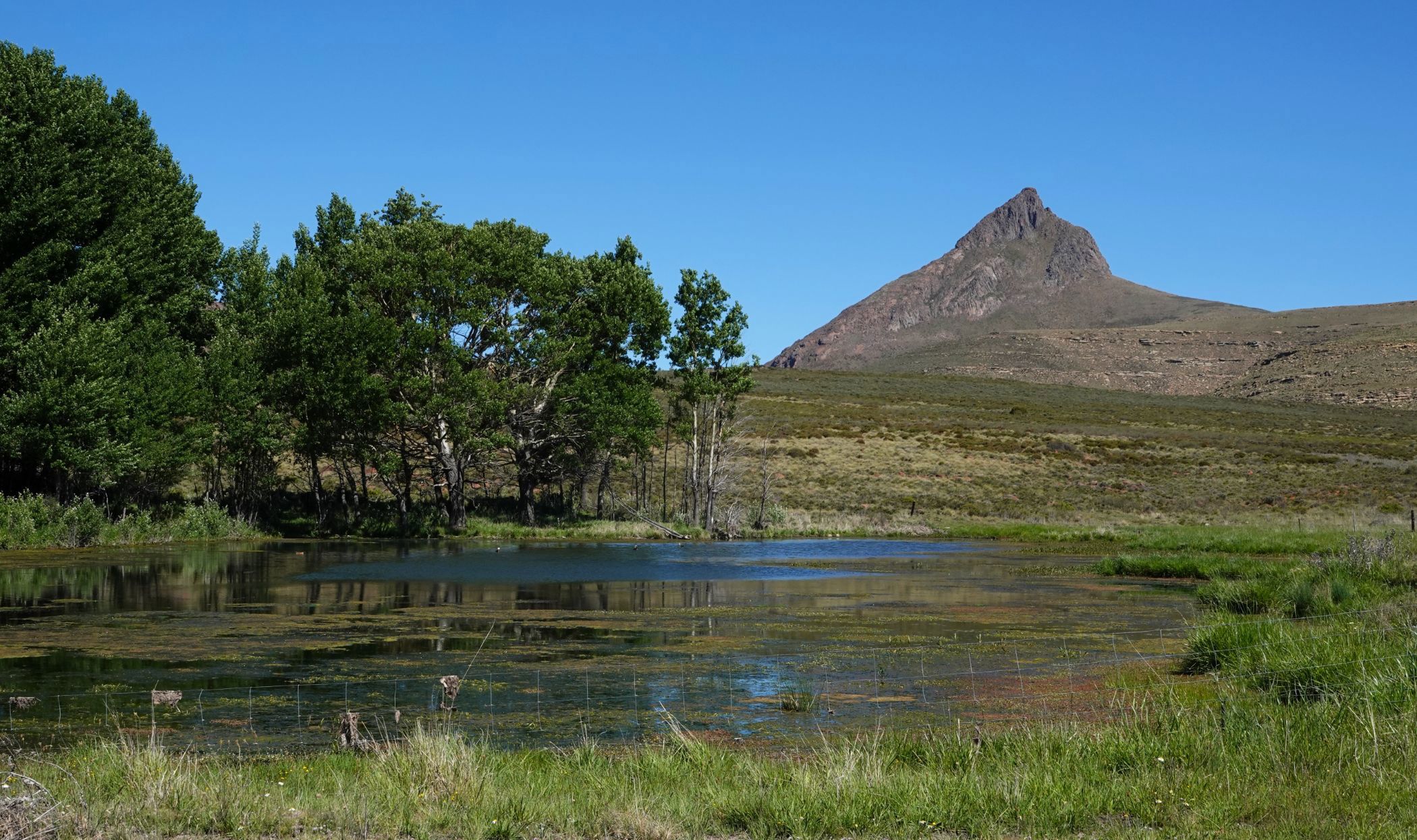 6460 hectare livestock farm for sale in Graaff-Reinet Rural