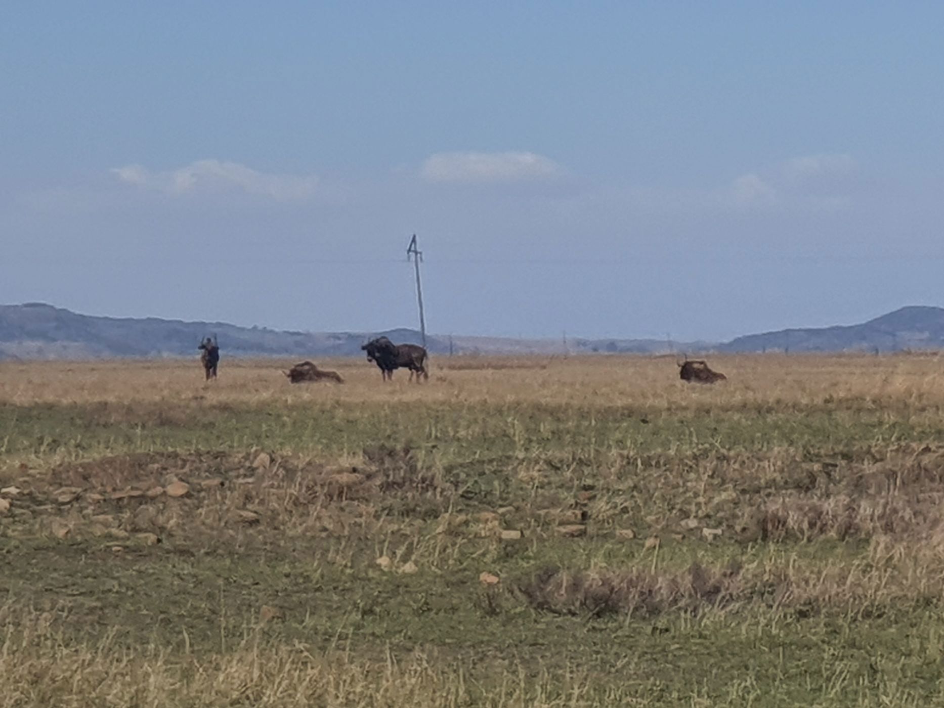 455 hectare farm vacant land for sale in Vaal Dam (Free State)