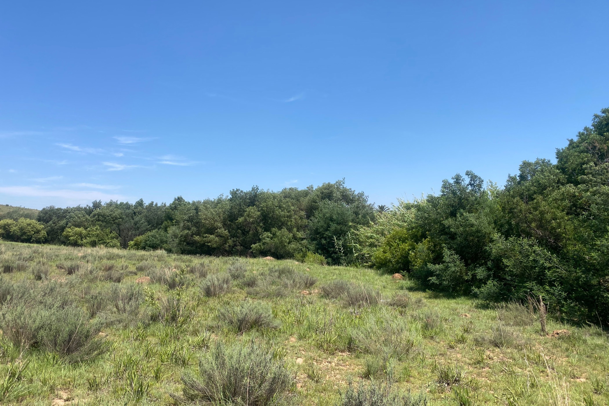 14000 m&sup2; vacant land for sale in Hoeveld Park
