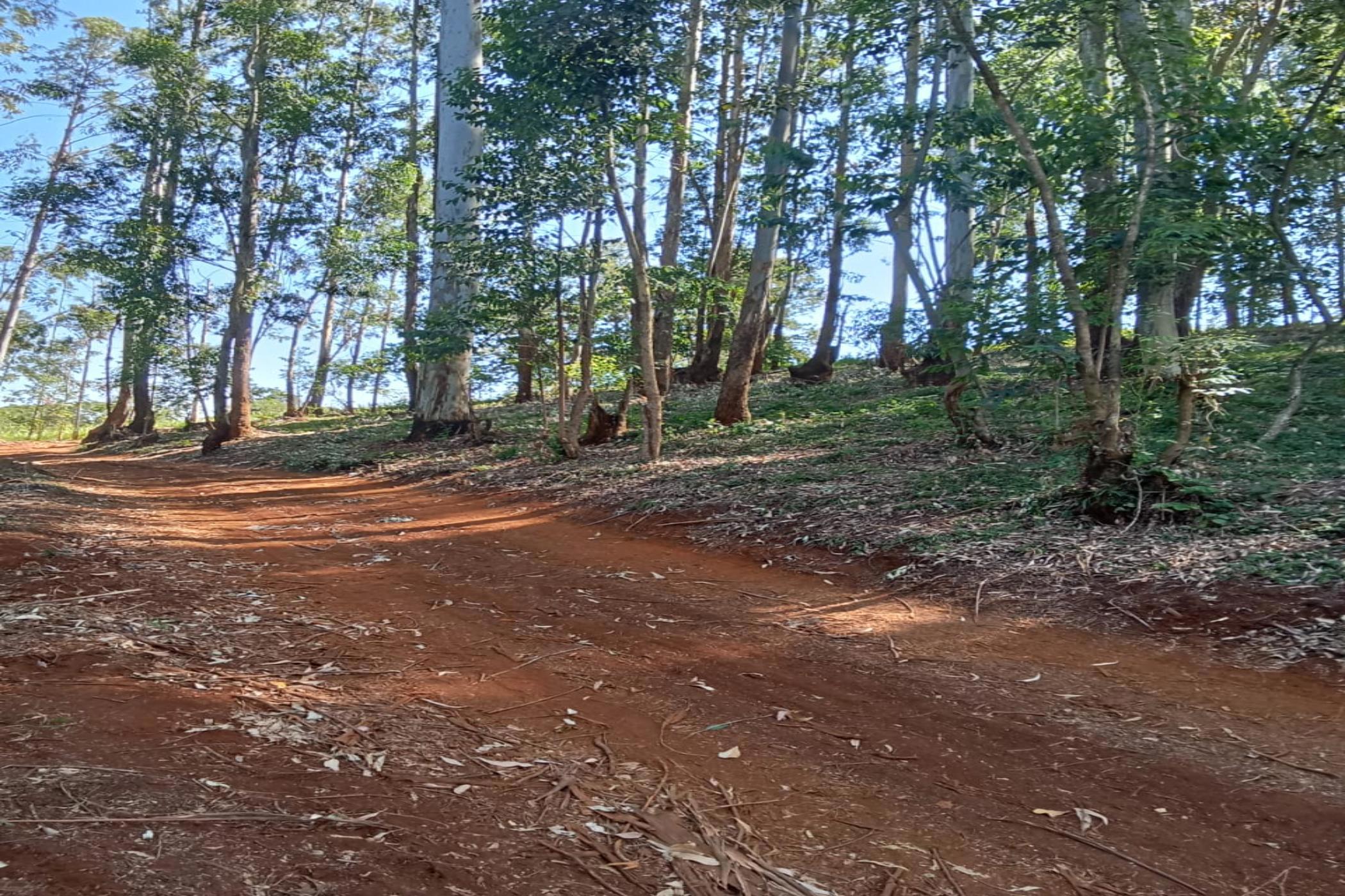 7.9 acres vacant land for sale in Redhill (Kenya)