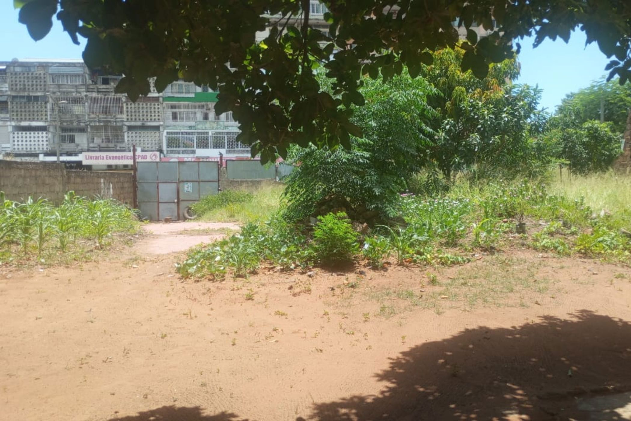664 m&sup2; vacant land for investment in Maputo  (Mozambique)