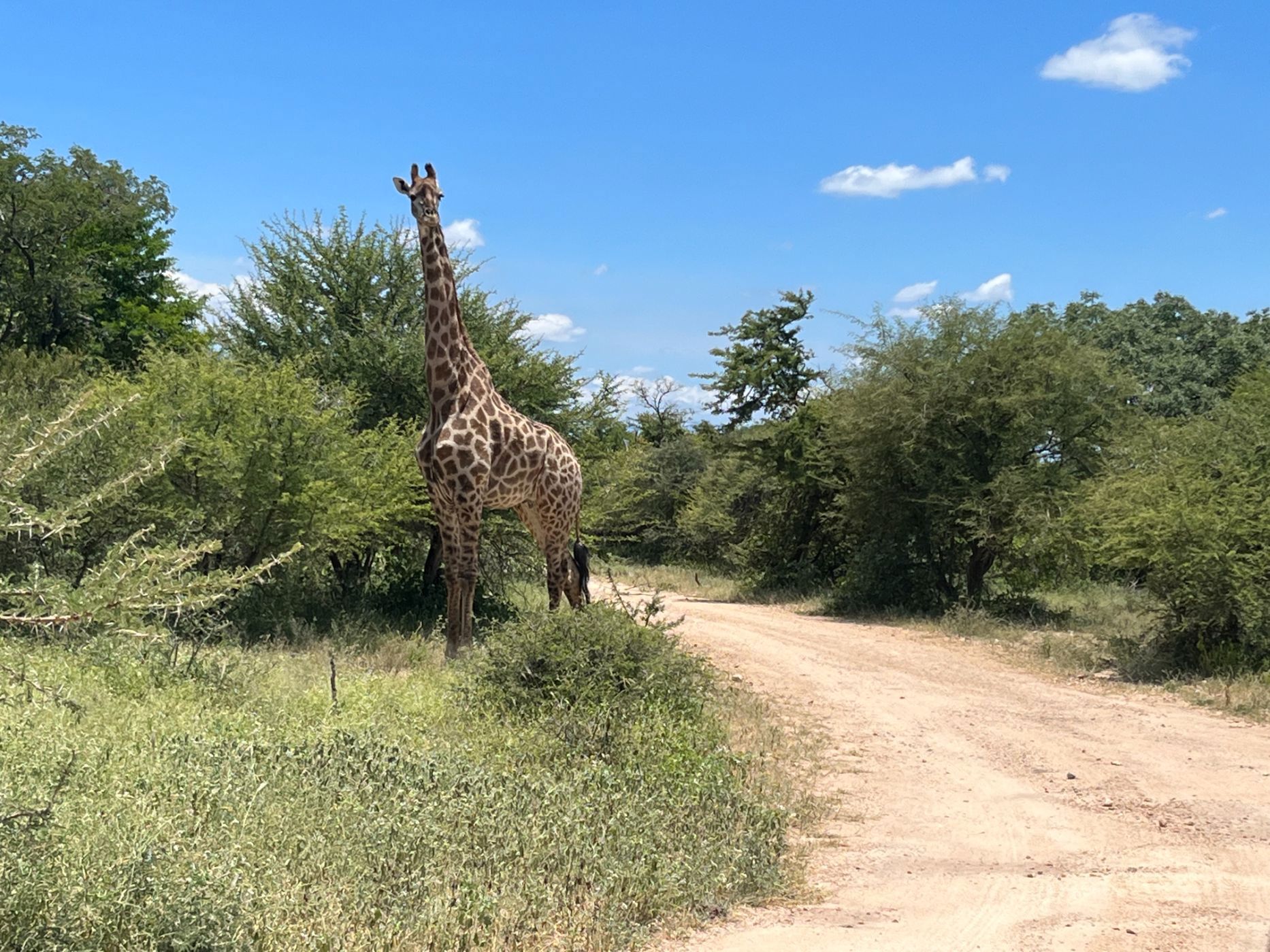 18450 m&sup2; vacant land for sale in Moditlo Nature Reserve