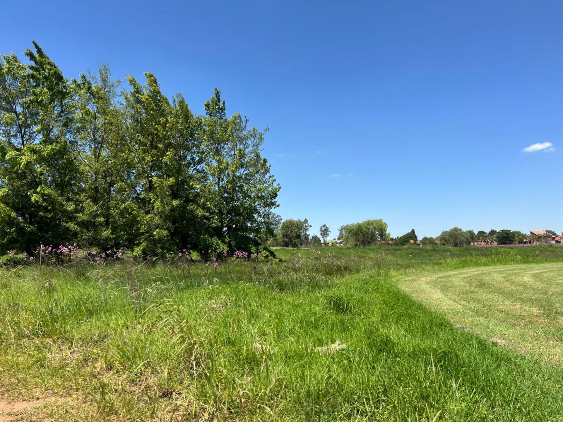 1.21 hectare farm vacant land for sale in Benoni AH