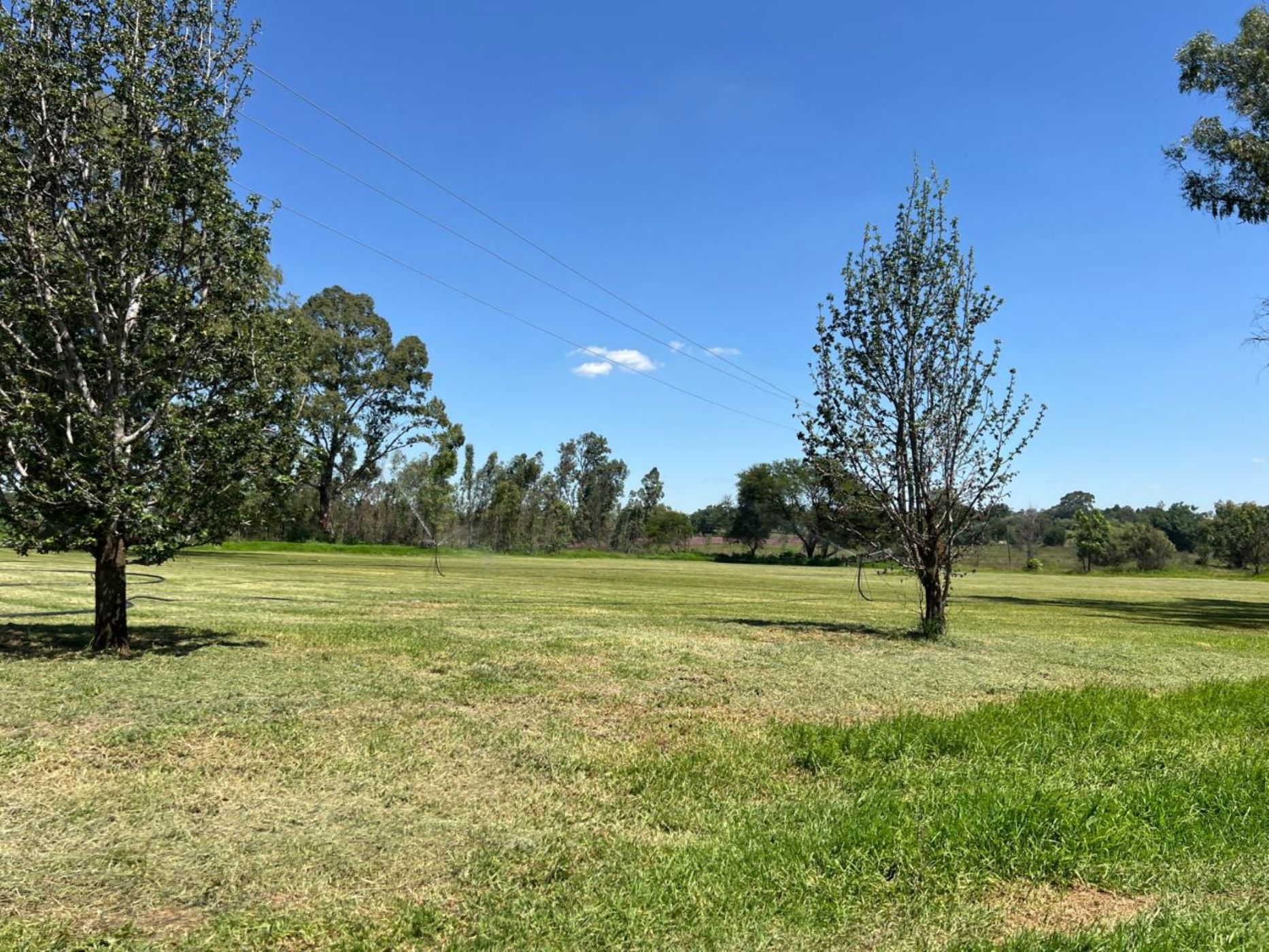16955 m&sup2; vacant land for sale in Benoni AH
