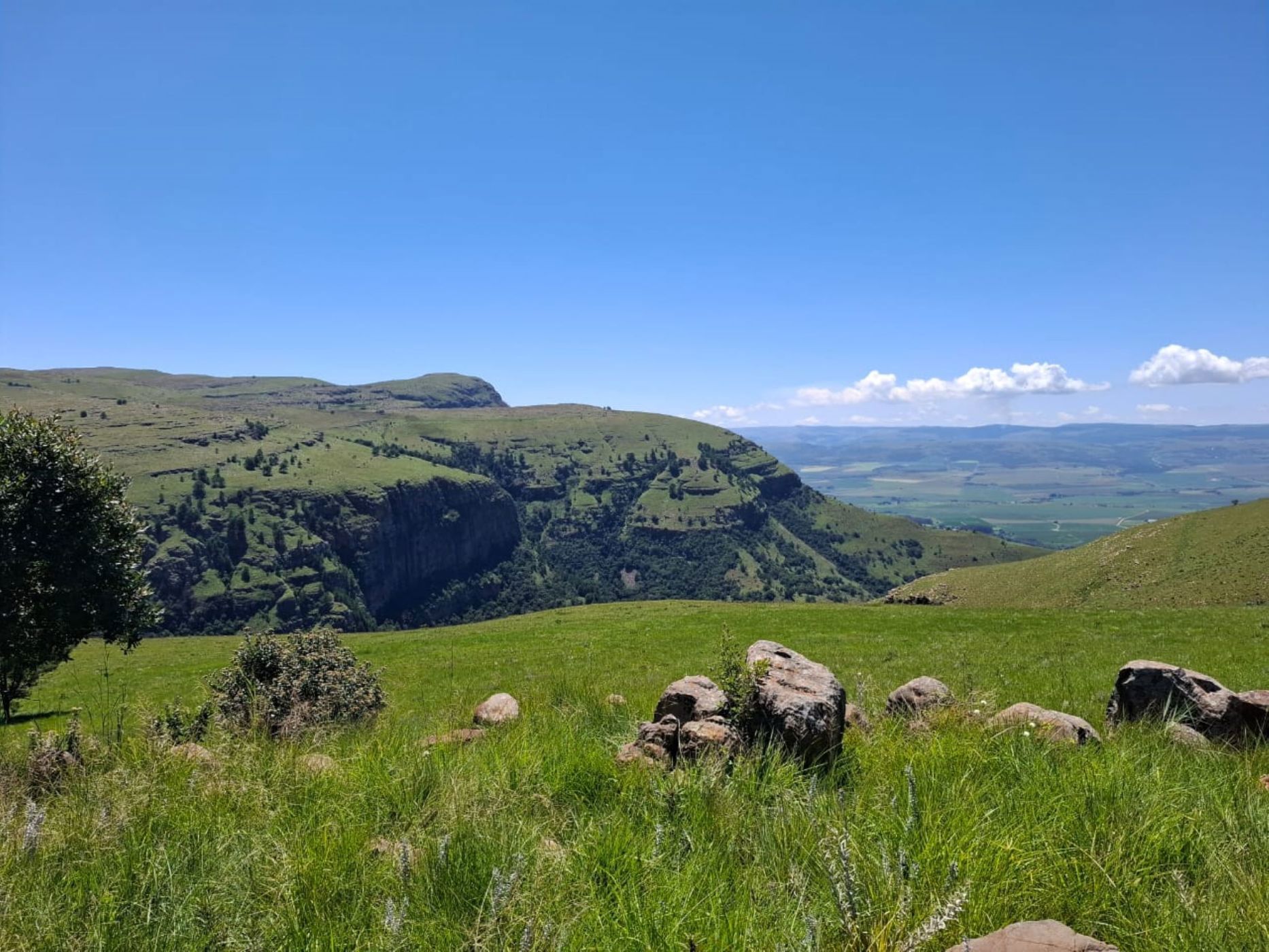 930 hectare mixed use farm for sale in Dullstroom