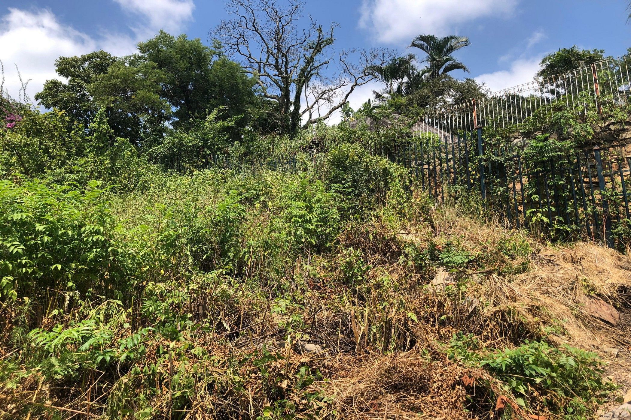 1100 m&sup2; residential vacant land for sale in Nelspruit (Mbombela)