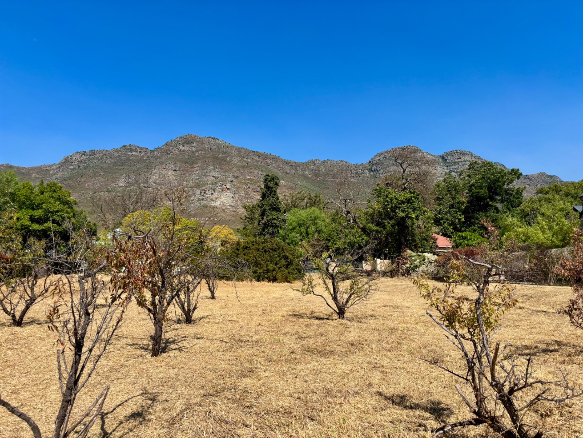 2426 m&sup2; vacant land for sale in Riebeek West
