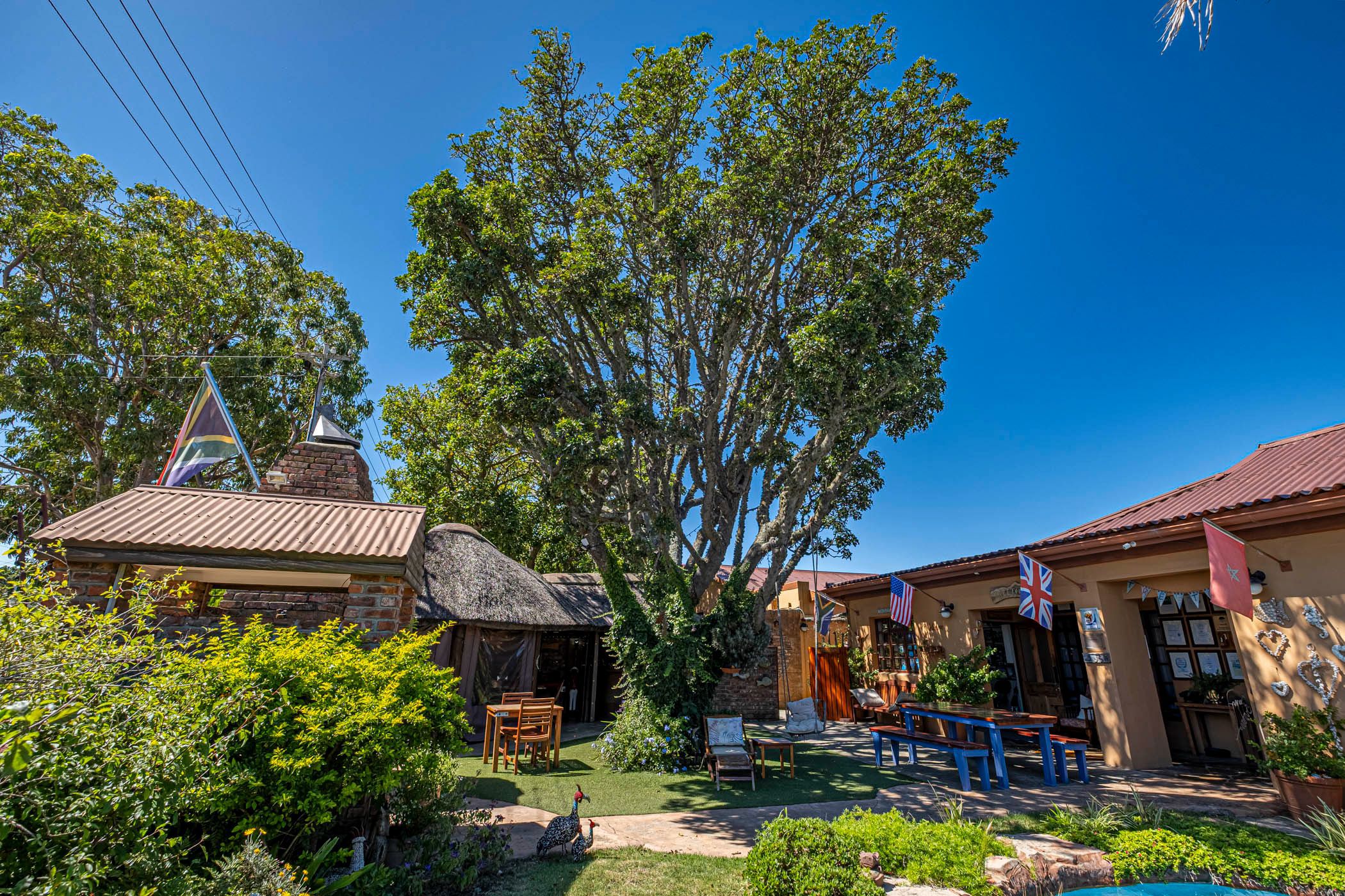 Bed & breakfast for sale in Walmer