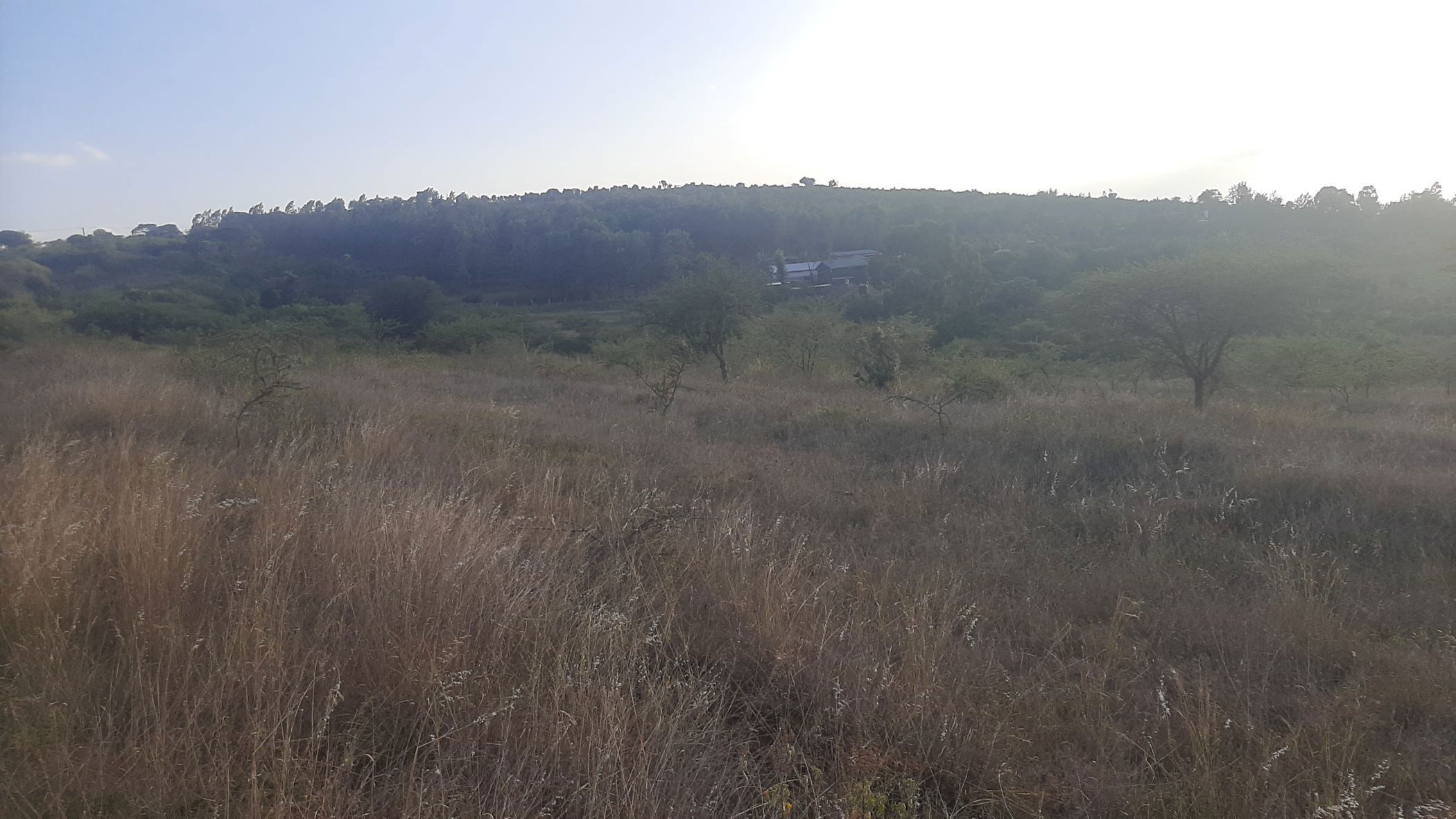 10 acres residential vacant land for sale in Athi River (Kenya)