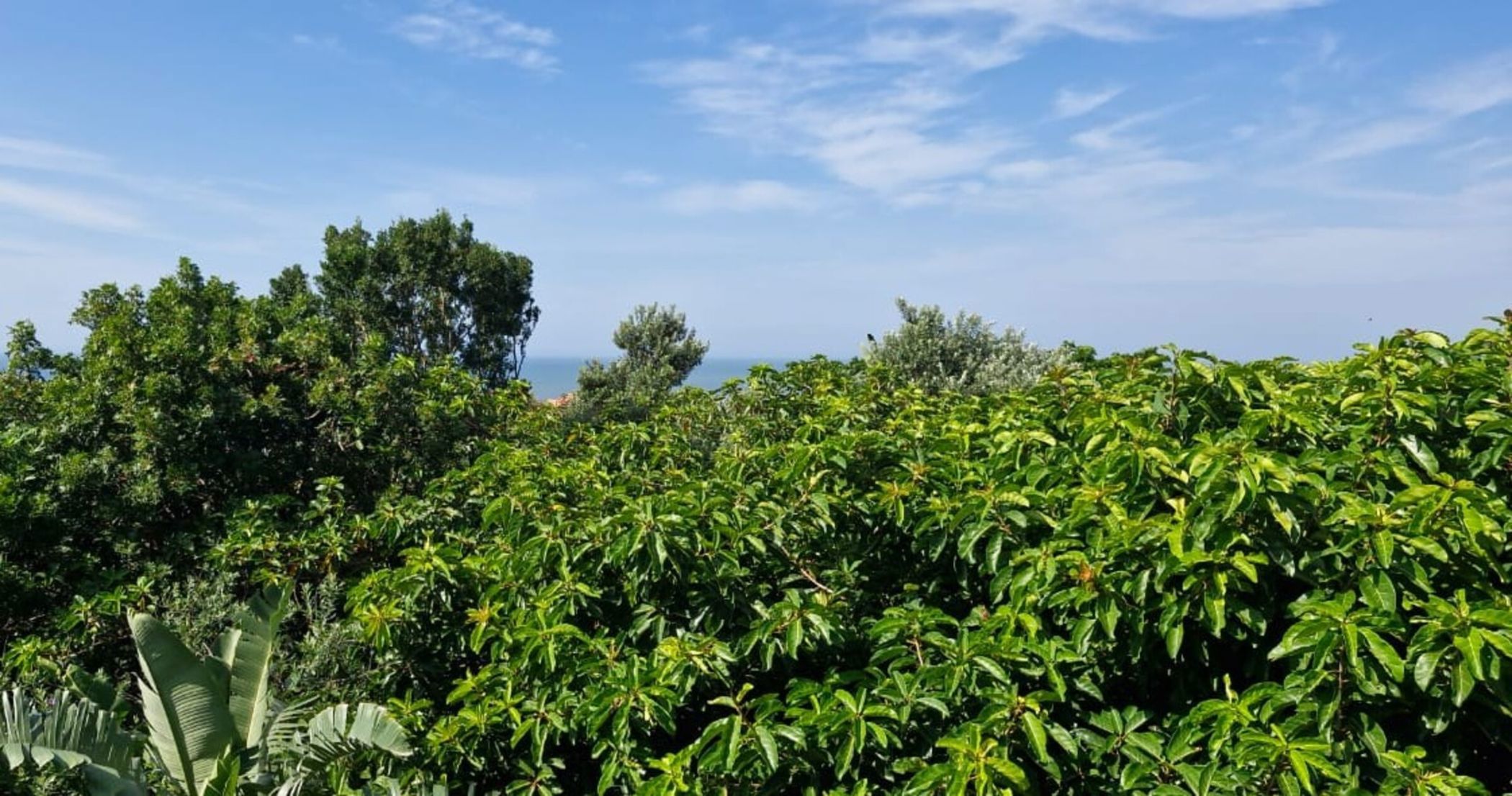 1002 m&sup2; residential vacant land for sale in Zimbali Estate