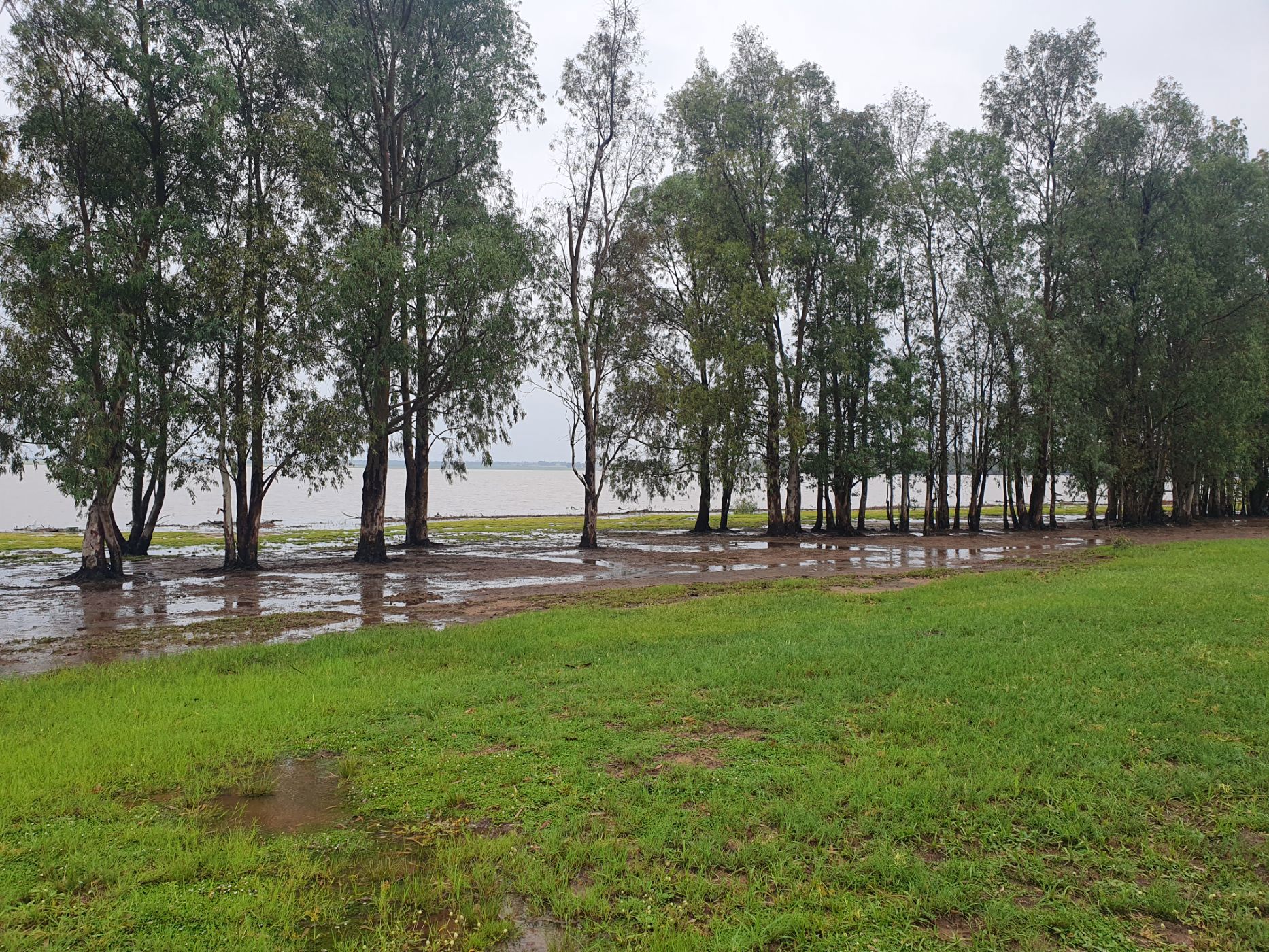 11975 m&sup2; farm vacant land for sale in Vaal Marina (Gauteng)