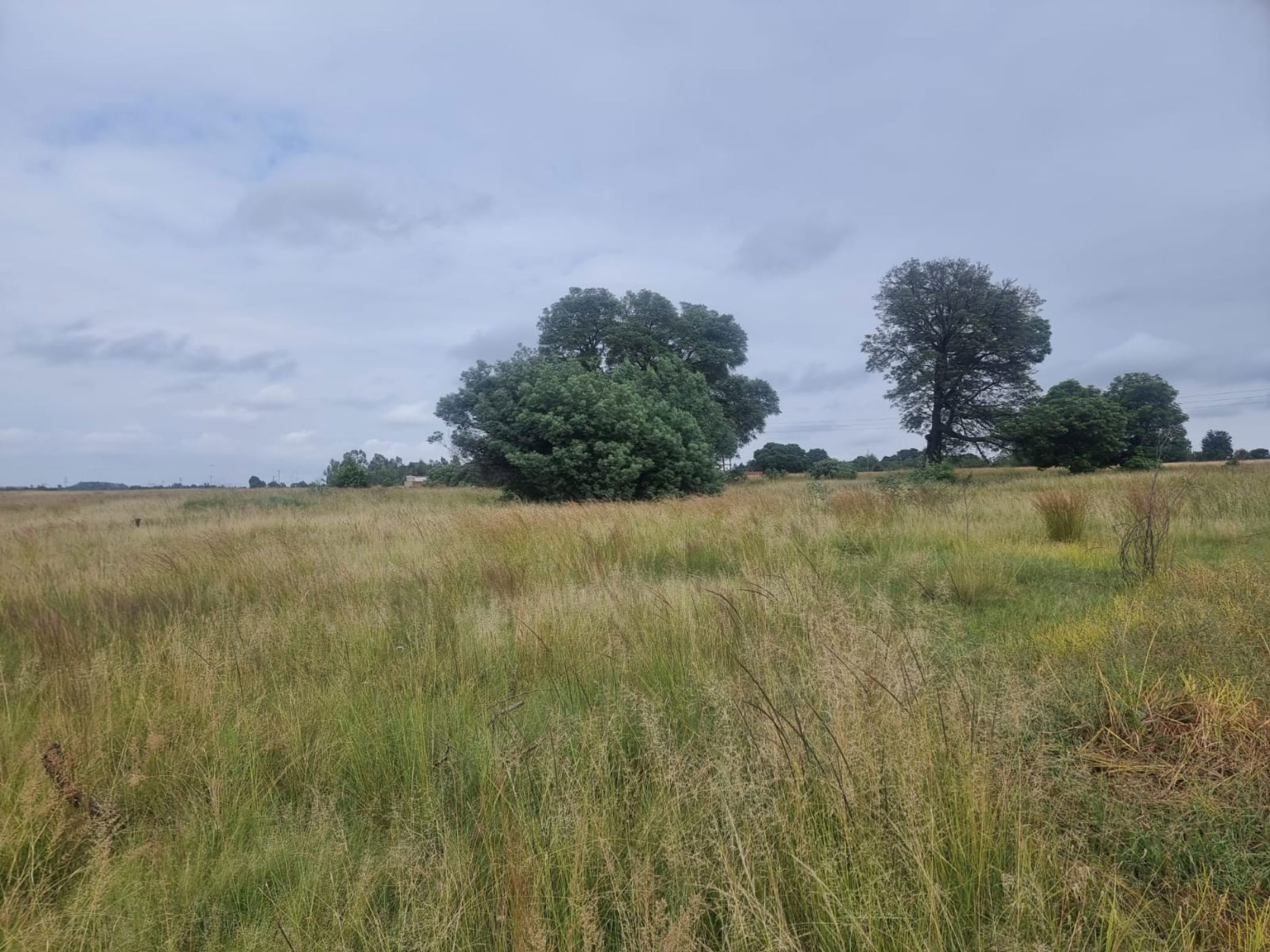 8.56 hectare vacant land for sale in Kromdraai (Witbank (eMalahleni))