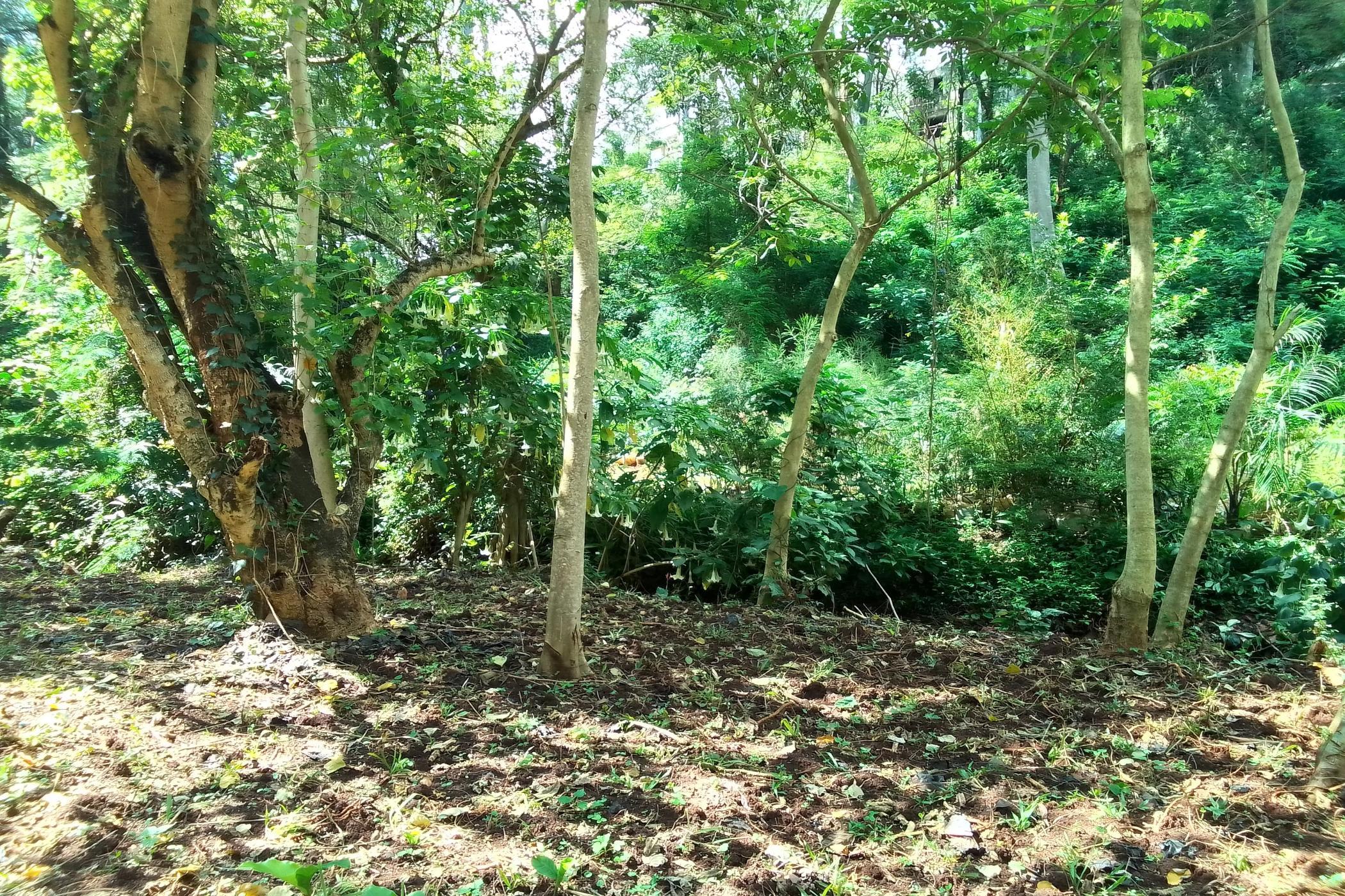 1.7 acres vacant land for sale in Kitisuru (Kenya)