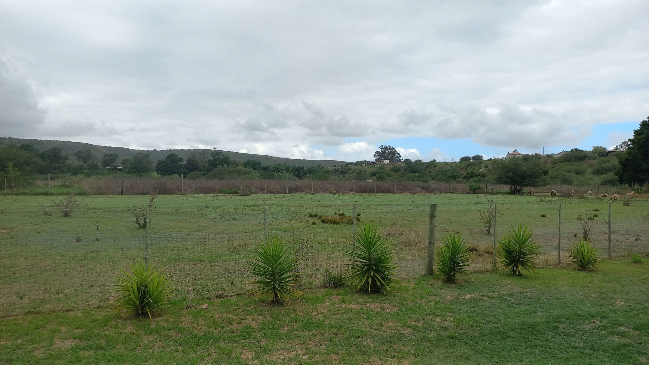 2641 m&sup2; commercial vacant land for sale in Heidelberg (Garden Route)