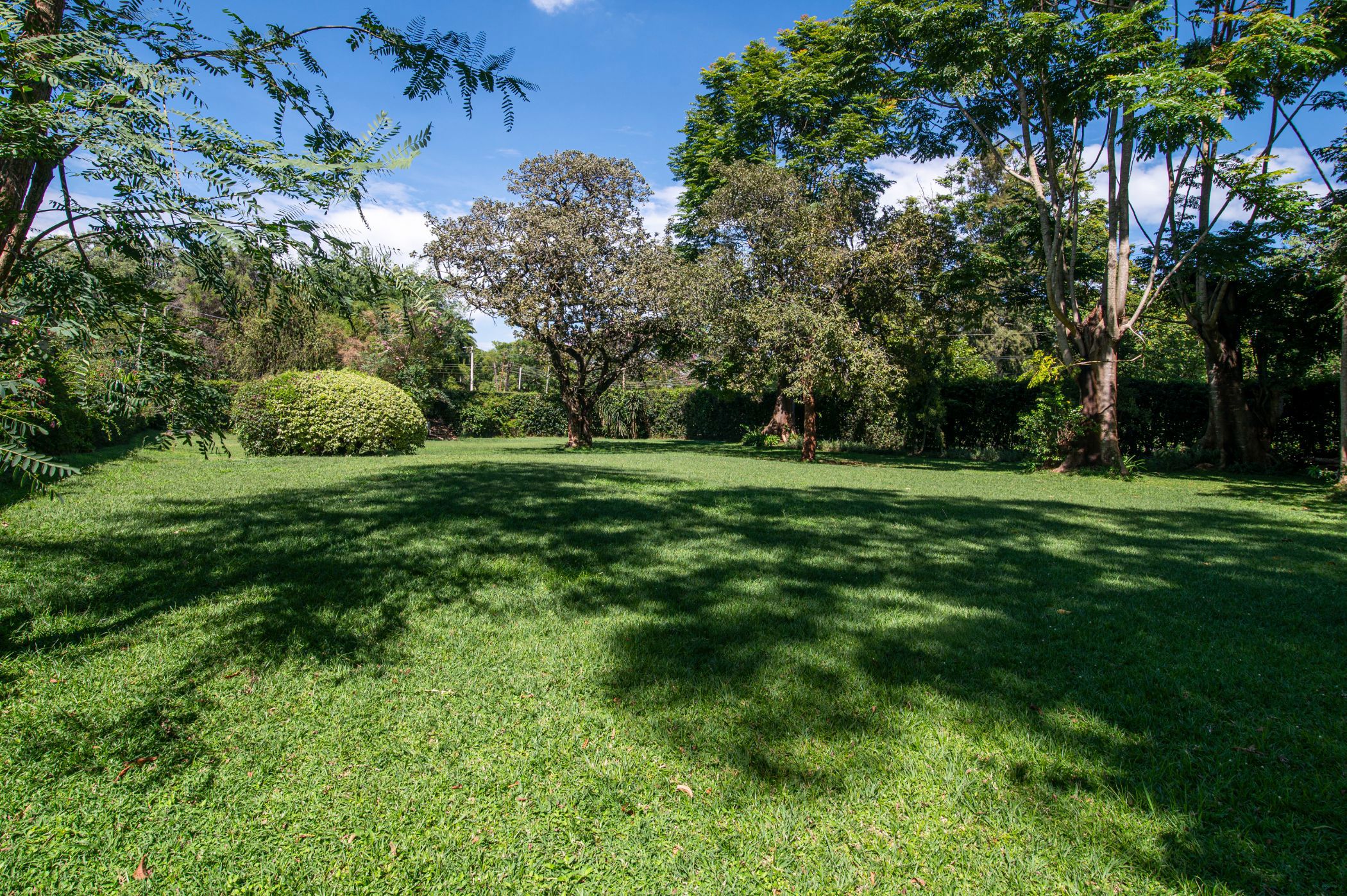 0.54 acres residential vacant land for sale in Muthaiga (Kenya)