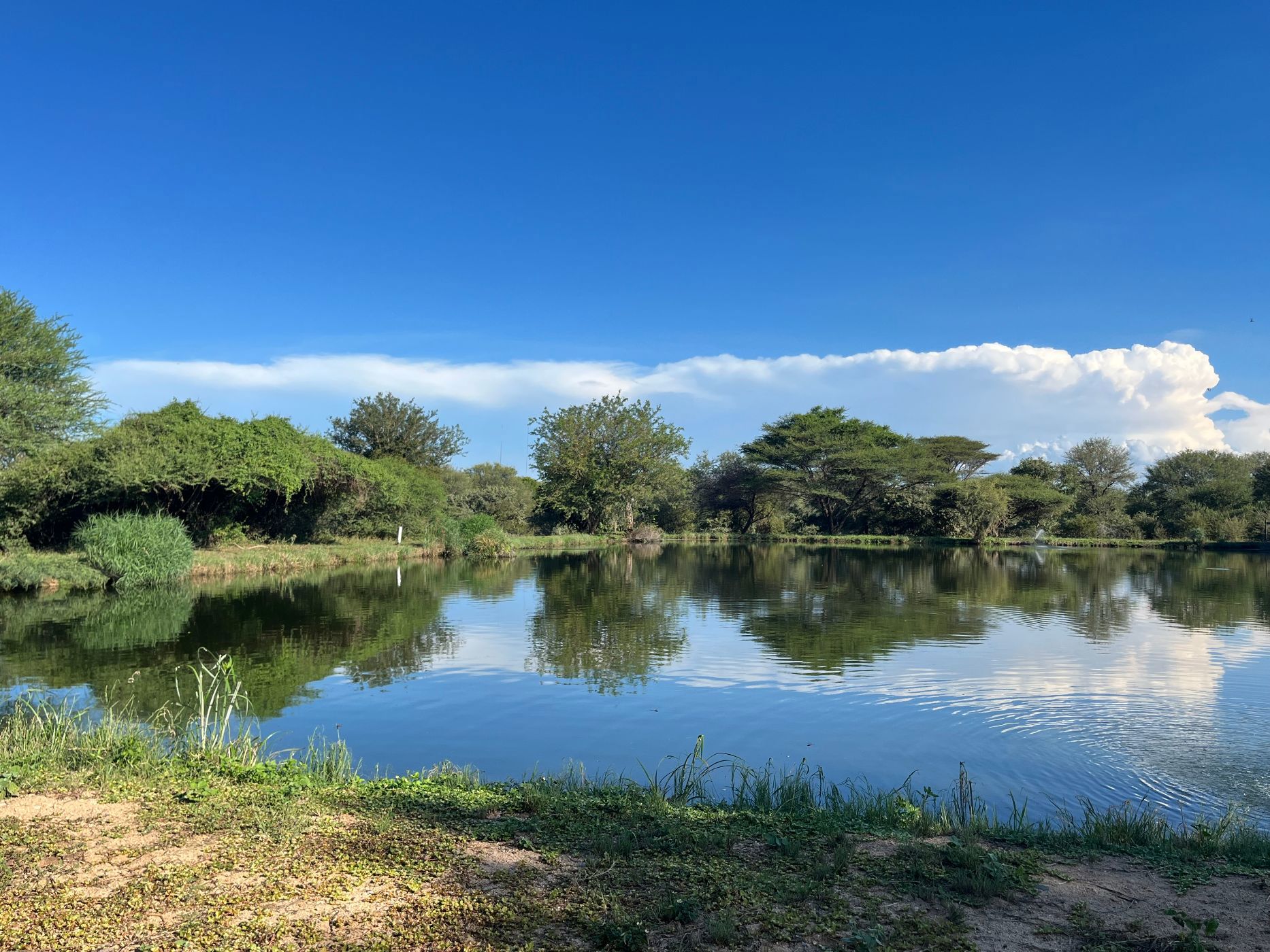 45913 m&sup2; vacant land for sale in Hoedspruit Wildlife Estate