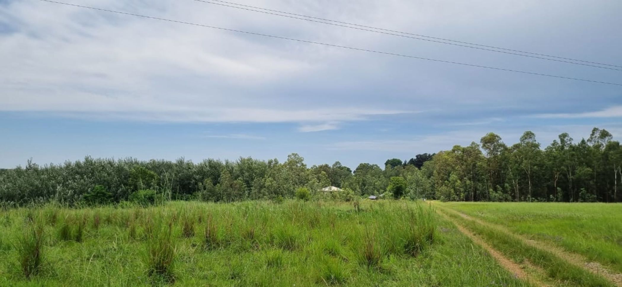 3.52 hectare smallholding for sale in Winterton (KwaZulu-Natal)
