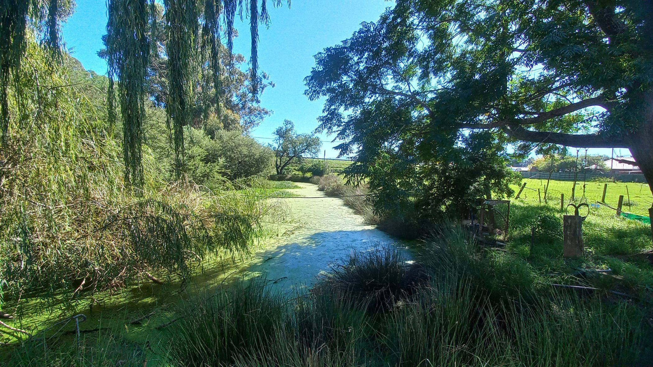 7923 m&sup2; mixed use farm for sale in Heidelberg (Garden Route)